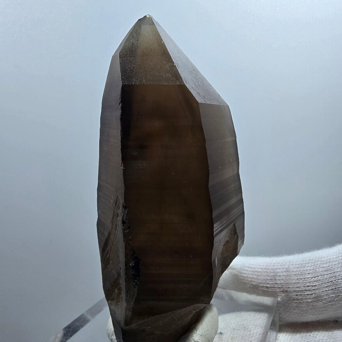 Sceptre de poche en quartz fumé fantôme lémurien Valentine Goboboseb Namibie 72 x 35 x 29 mm