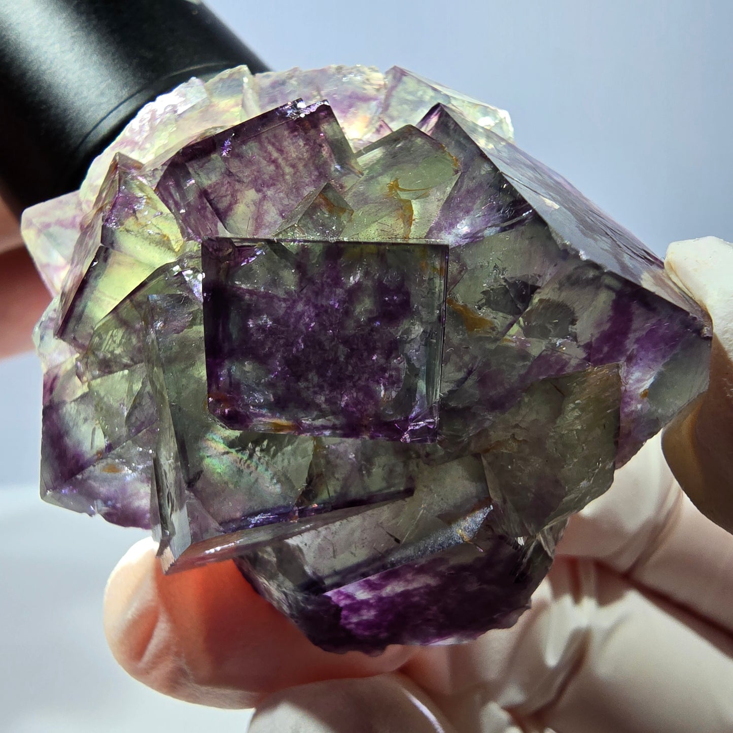 Spécimen de cube de fluorite fantôme, parqueté vert violet Okorusu, Namibie 46*41*26 mm