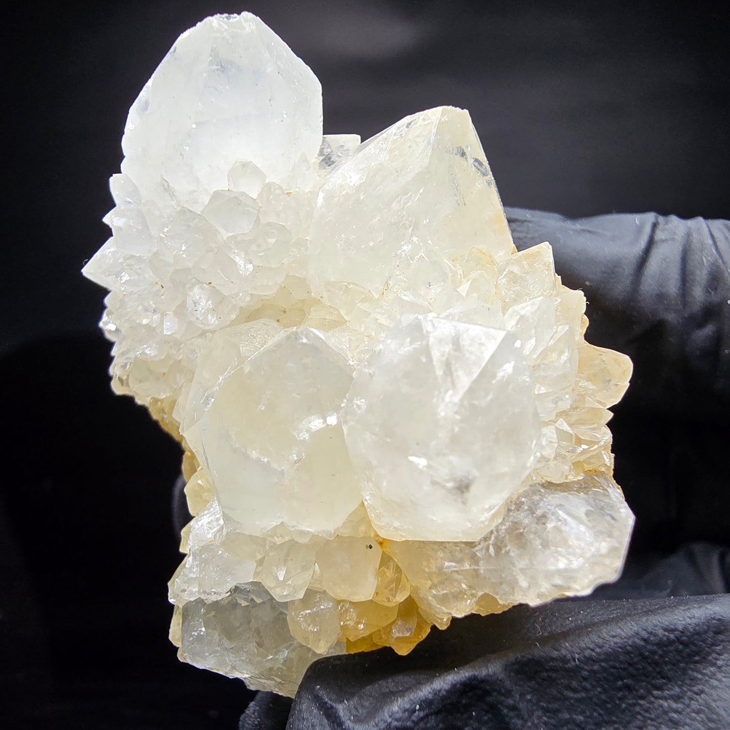 Cactus Quartz, Spirit Quartz XX Grade Boekenhouthoek, South Africa 50*43*38mm Collection