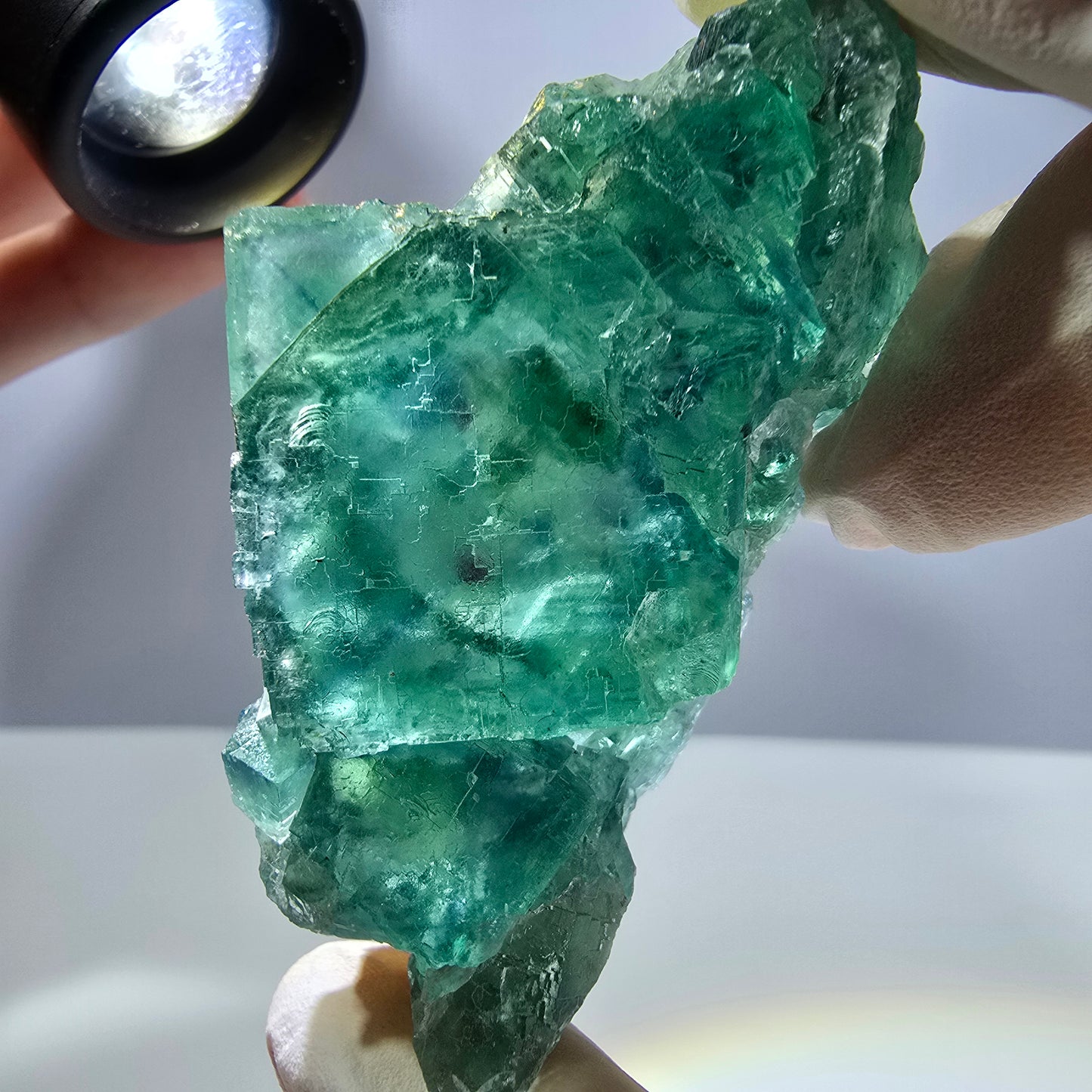 Spécimen de cube de fluorite fantôme transparente, vert parqueté, Okorusu, Namibie, 64 x 35 x 16 mm