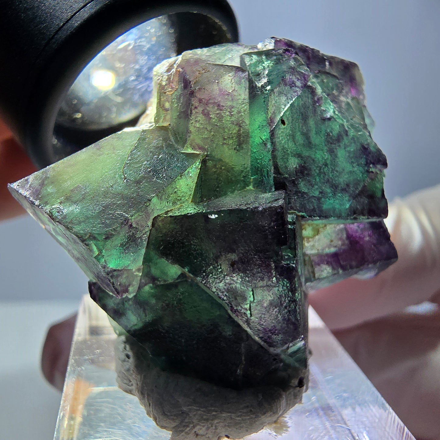 Phantom Fluorit Würfel Stufe, parkettiert grün lila Okorusu, Namibia 39*31*18mm