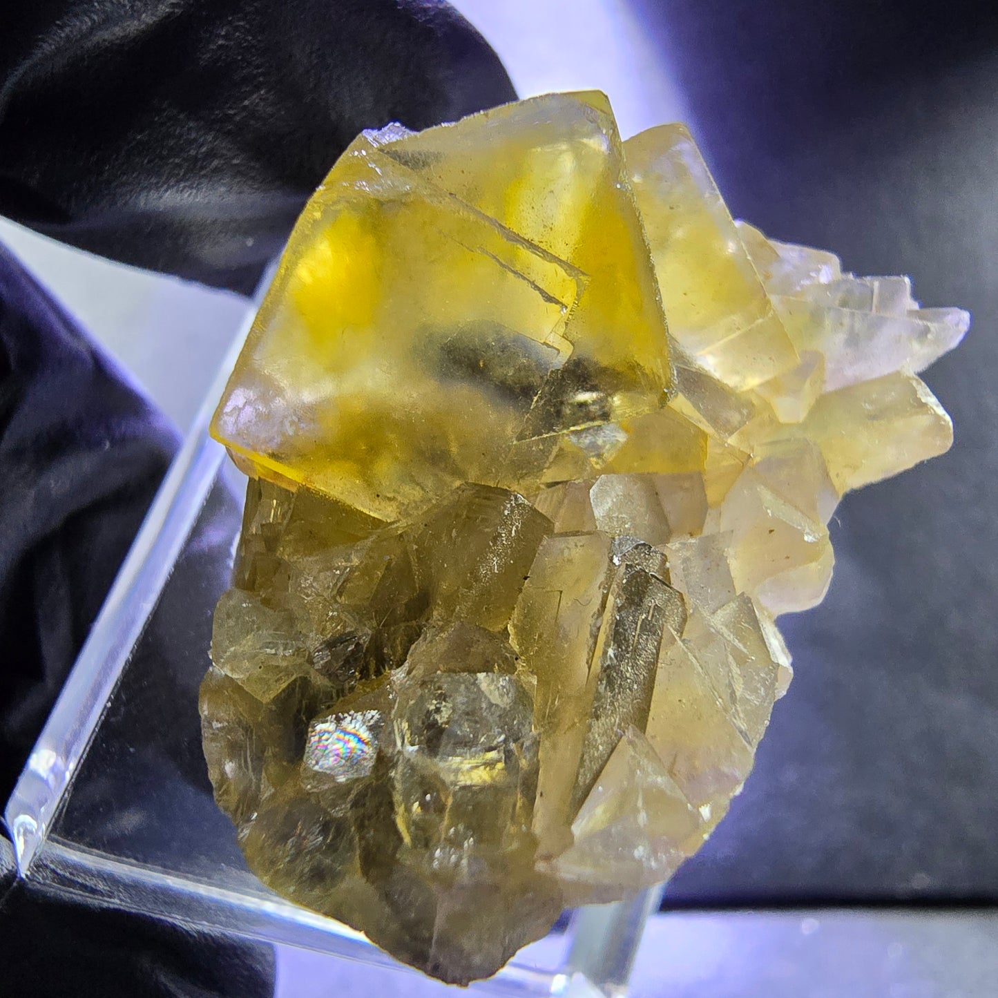 Seltene Honey Pocket Phantom Fluorit XX Würfel Stufe 31*20*19mm Okorusu, Namibia