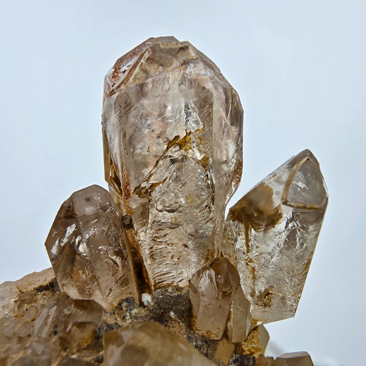 Enhydro Phantom Rauchquarz Zepter auf Matrix Goboboseb, Namibia 67*60*37mm