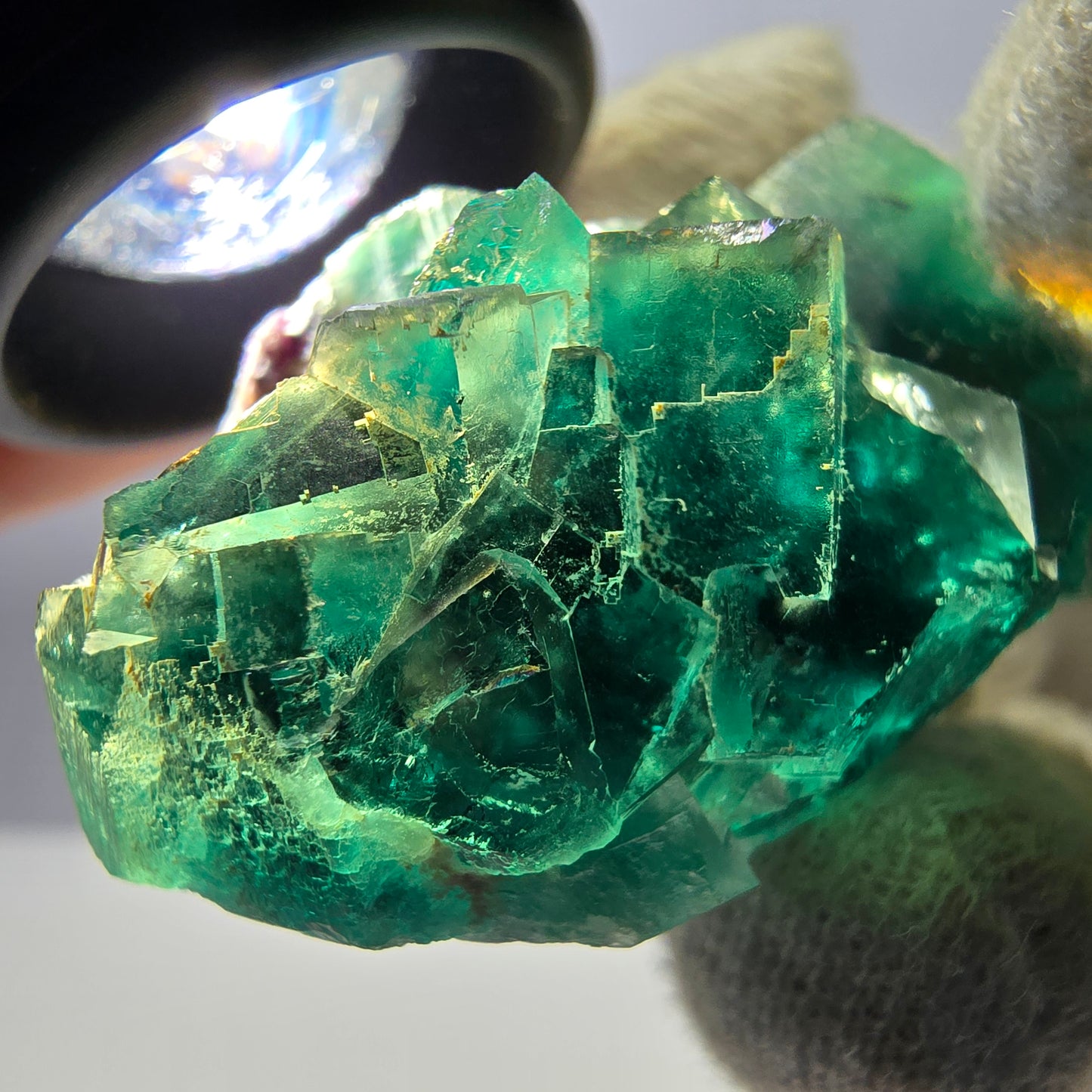 Rare spécimen de cube de fluorite fantôme, parqueté vert Okorusu, Namibie, 44 x 31 x 17 mm