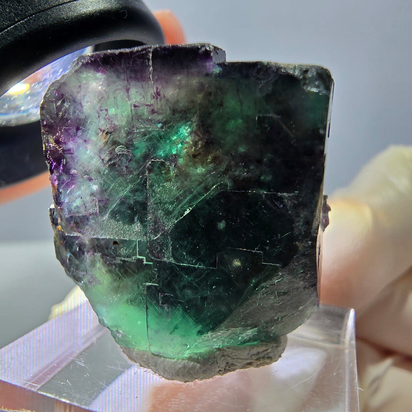 Phantom Fluorit Würfel Stufe, parkettiert grün lila Okorusu, Namibia 24*23*19mm