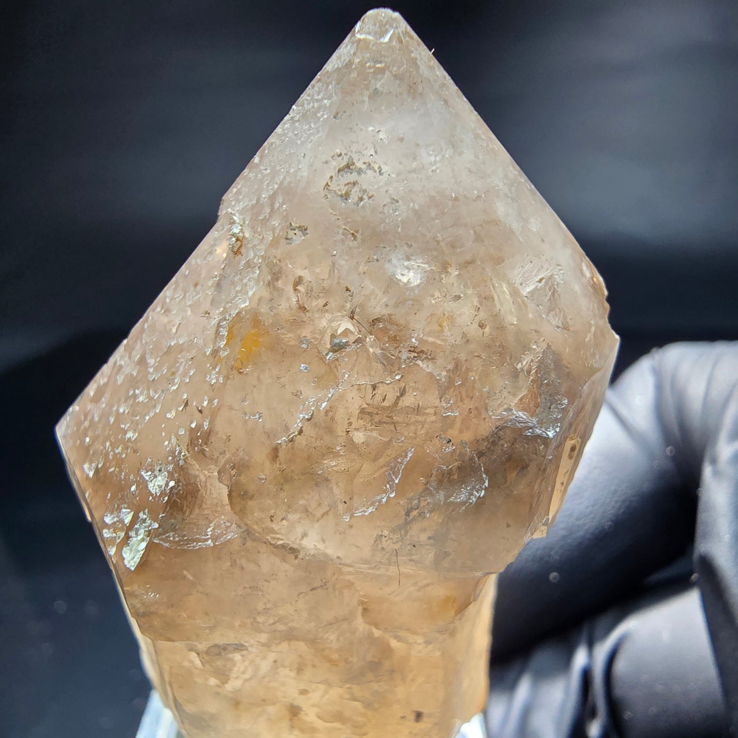 Schöne Phantom Rauchquarz Zepter Spitze Erongo, Namibia 53*34*25mm Sammlung