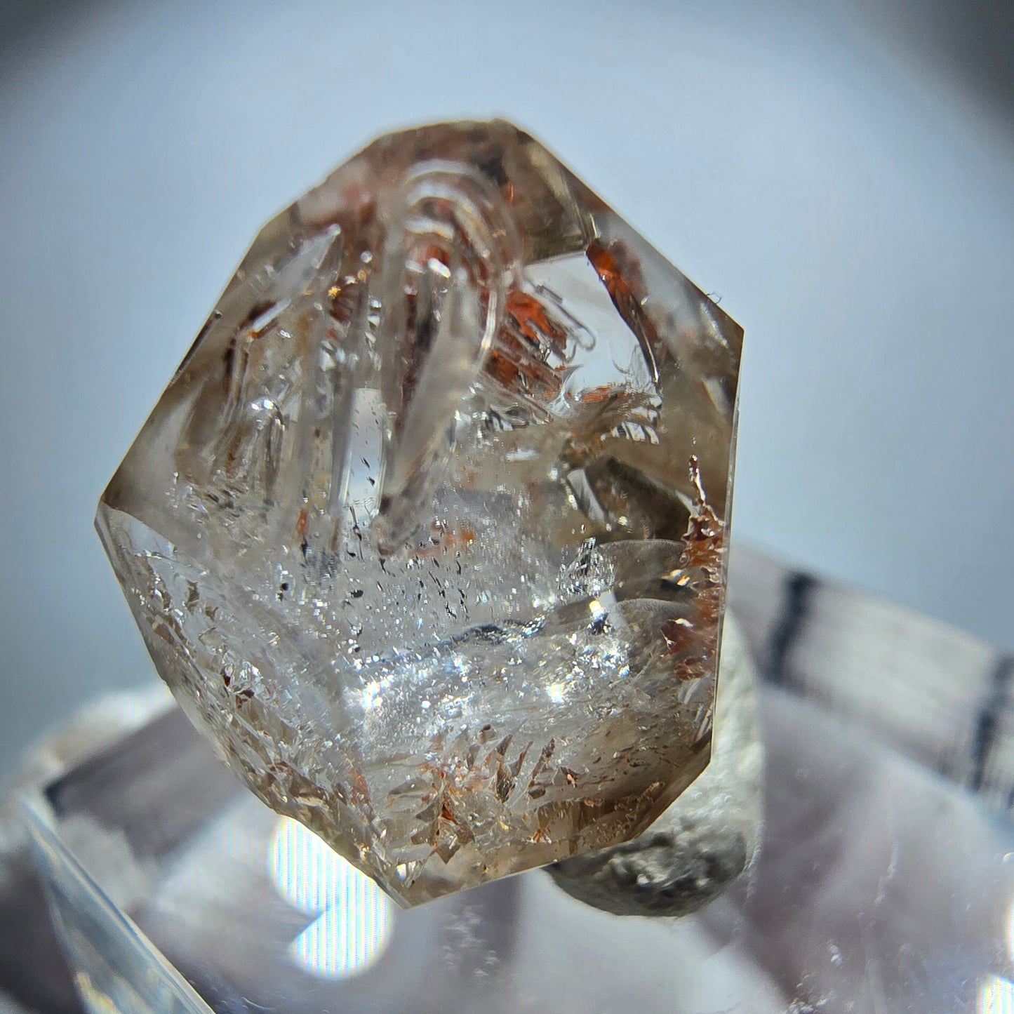Enhydro Phantom Rauchquarz Skelett DT Zepter Goboboseb, Namibia 21*15*11mm