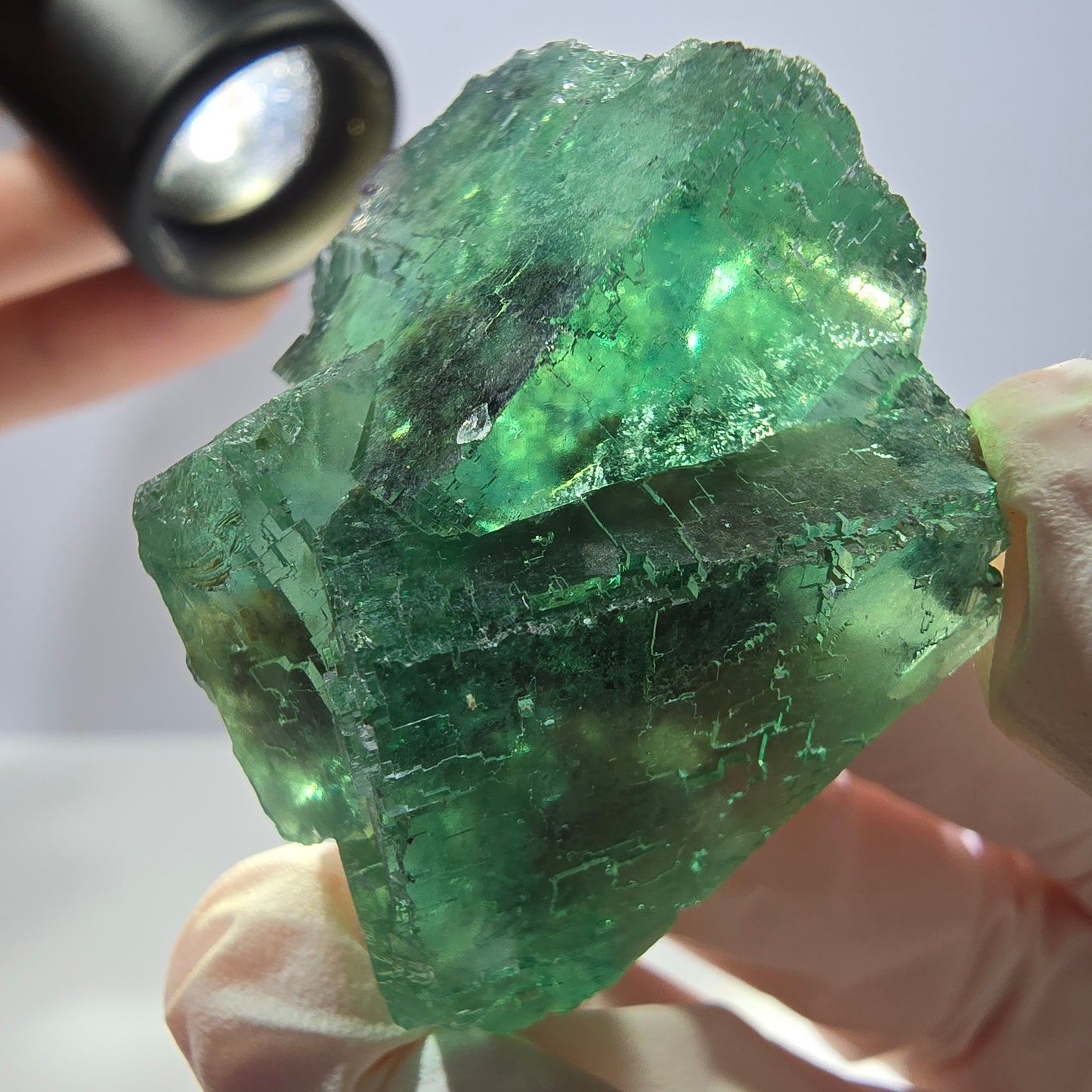 Klare Phantom Fluorit Würfel Stufe, parkettiert grün Okorusu, Namibia 43*33*25mm