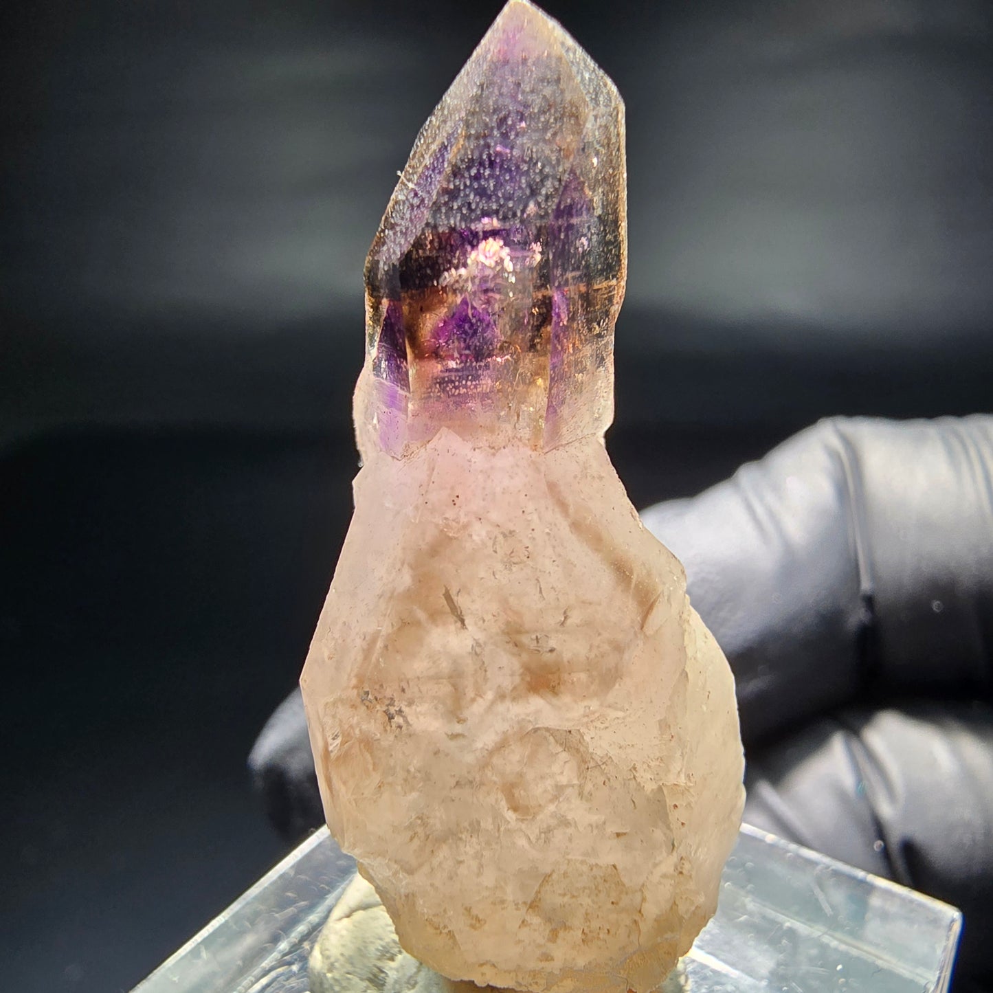 Seltene Phantom Zepter Amethyst Spitze lila braun Goboboseb, Namibia 39*17*15mm