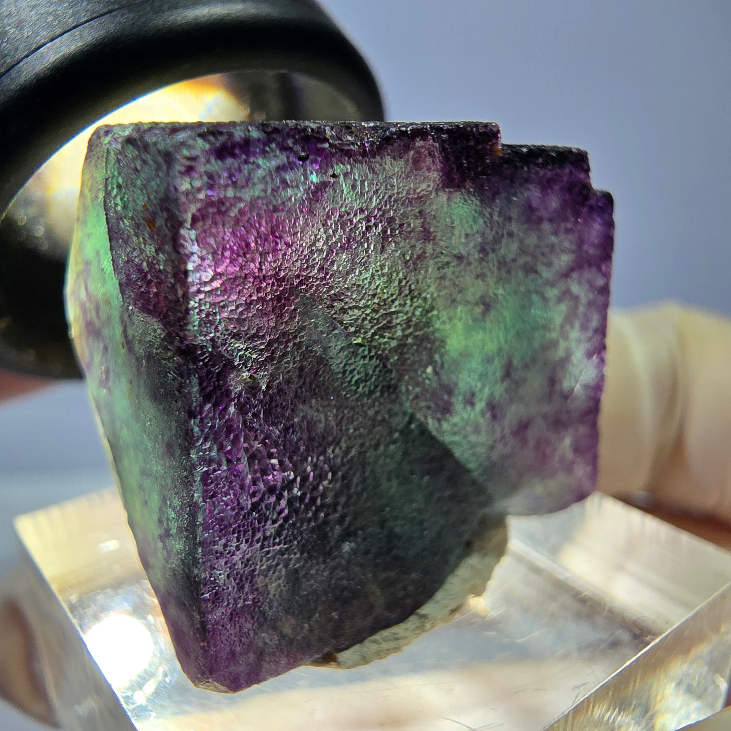 Phantom Fluorit Würfel parkettiert, grün lila Okorusu, Namibia 23*22*20mm
