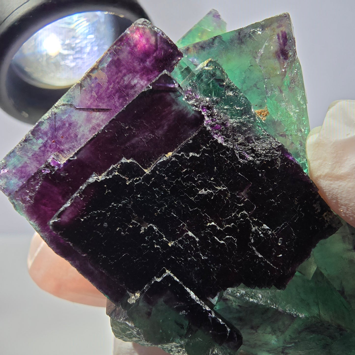 Spécimen de cube de fluorite fantôme, parqueté vert violet Okorusu, Namibie 59*41*24 mm