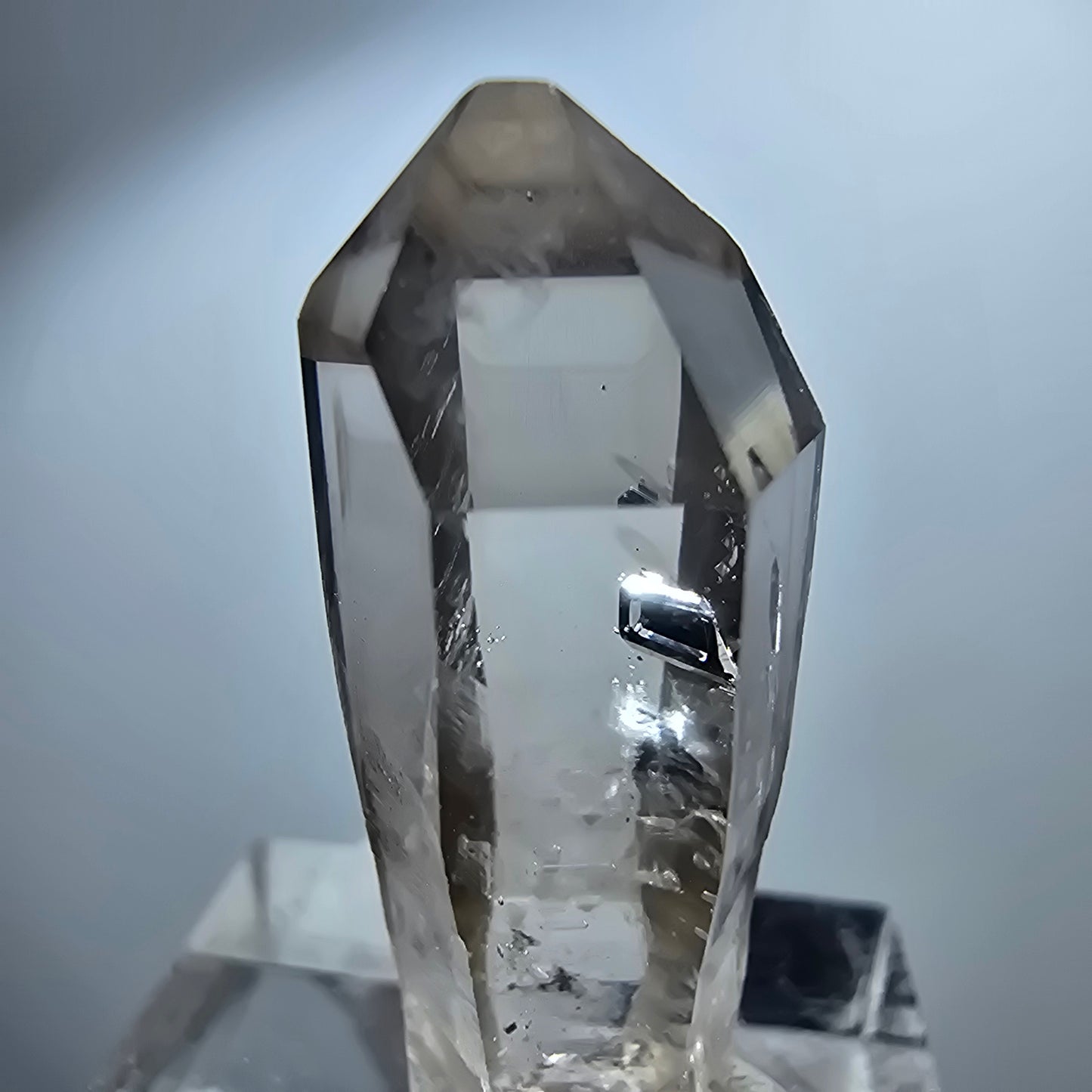 Pointe de sceptre en quartz fumé fantôme transparent, Goboboseb, Namibie, 33 x 11 x 13 mm