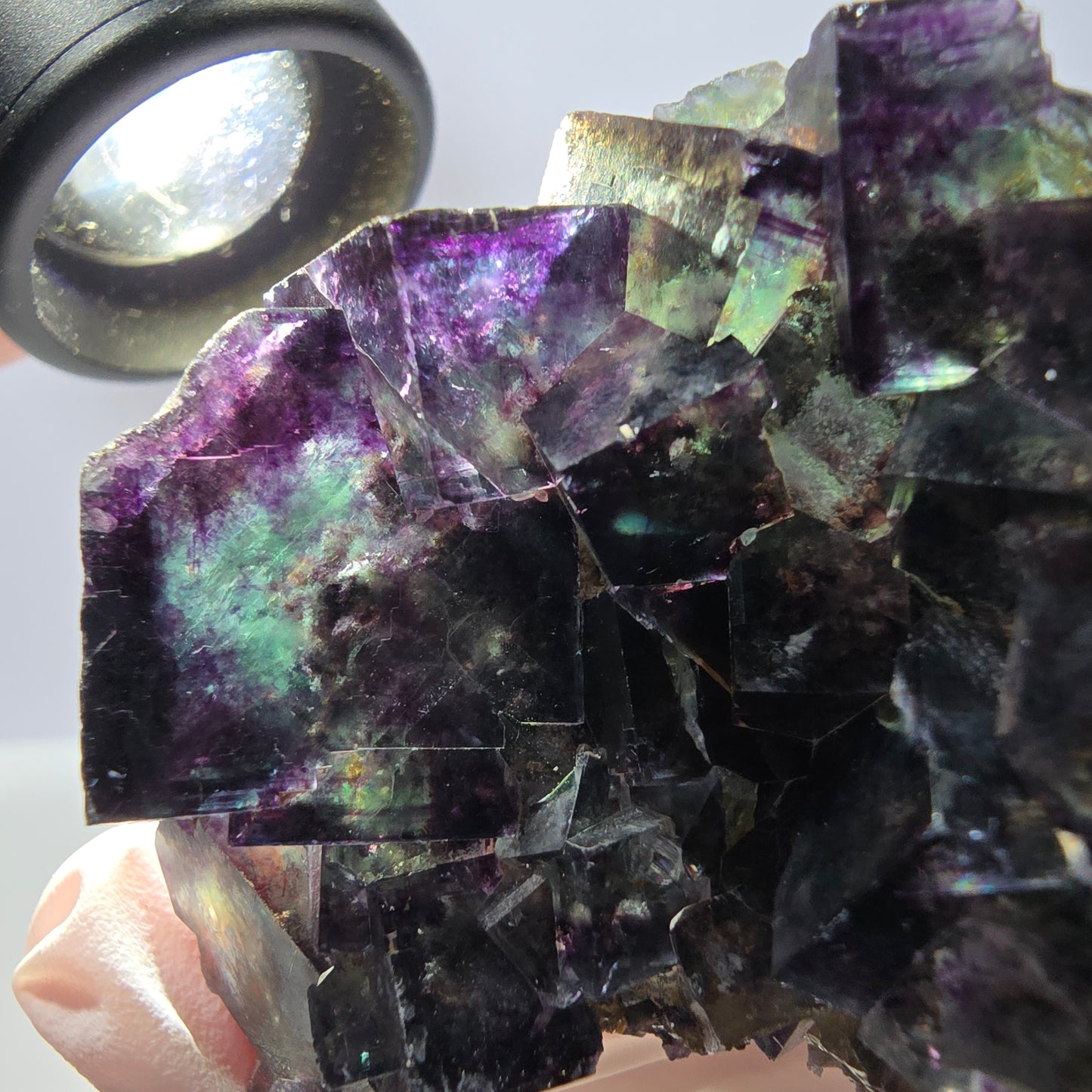 Spécimen de cube de fluorite fantôme, parqueté vert violet, Okorusu, Namibie 57*50*35 mm