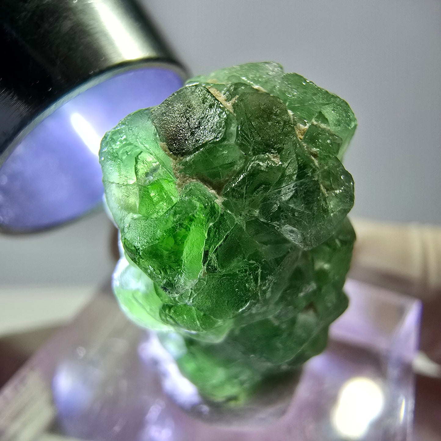 Cube de fluorite fantôme, spécimen de tourmaline Schorl, Erongo, Namibie, 22 x 16 x 16 mm