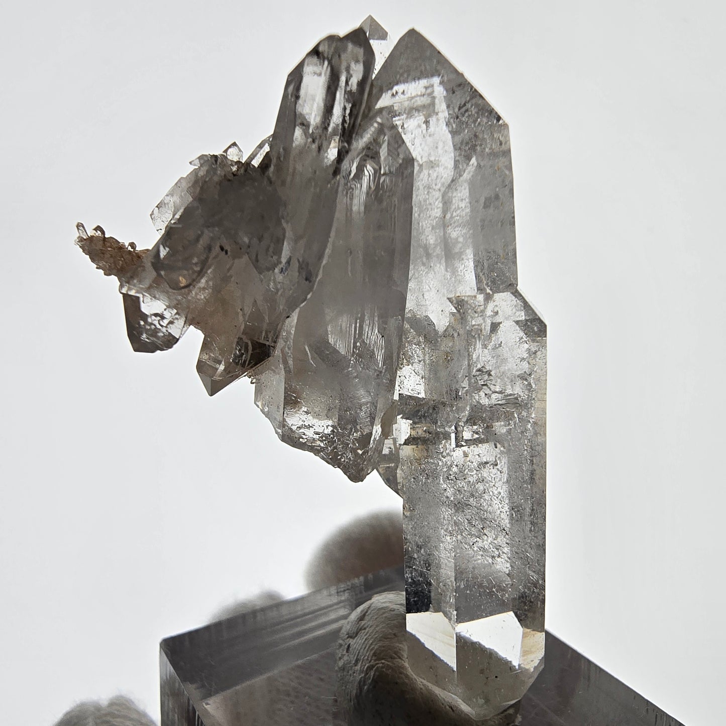 Sceptre fantôme squelette en quartz fumé DT sur pochette Matrix Valentine, Namibie 49 x 29 x 22 mm