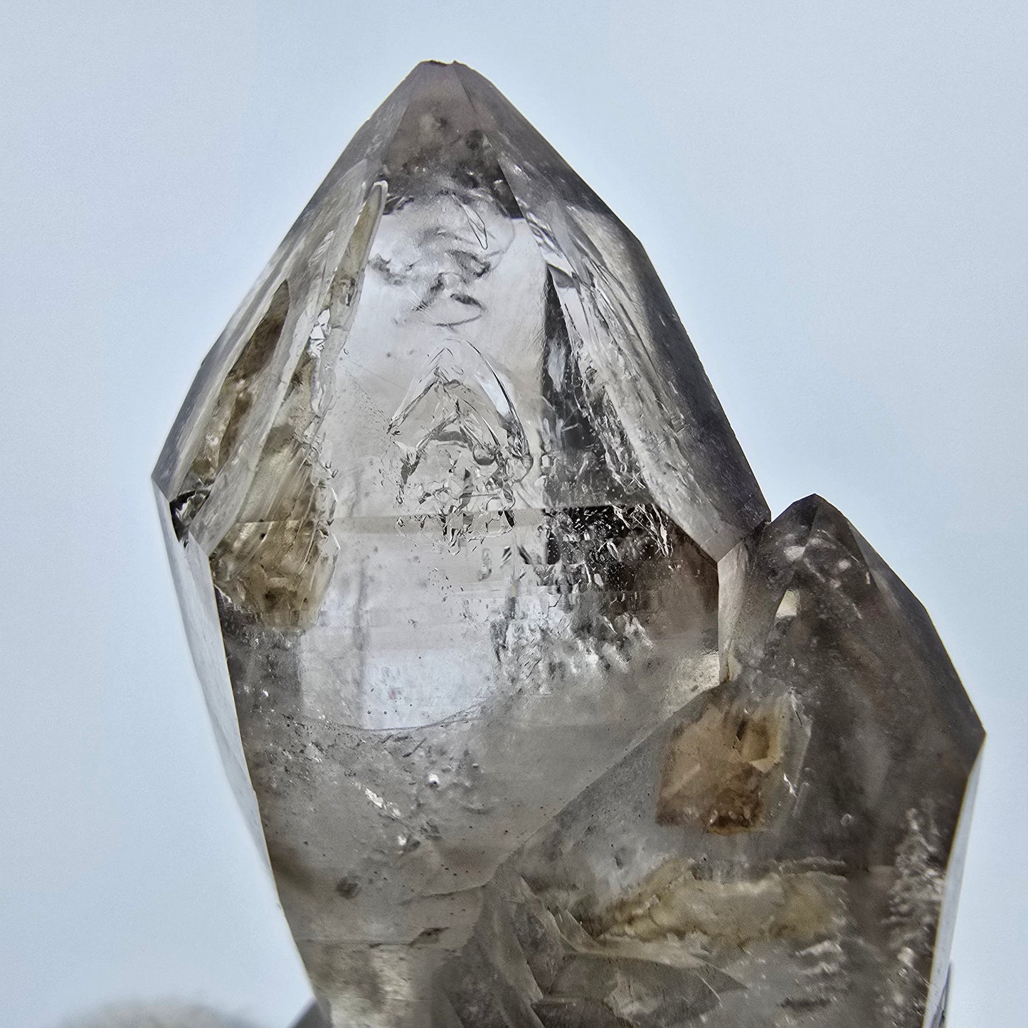 Enhydro Phantom Rauchquarz Fenster Zepter, 1x Blase Goboboseb Namibia 44*29*21mm