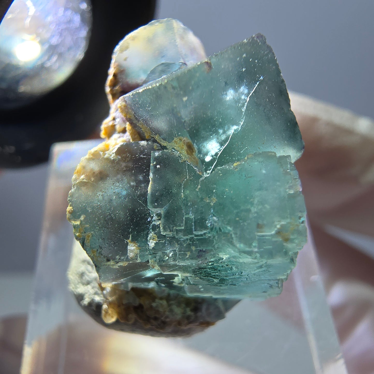 Spécimen de cube de fluorite fantôme, parquet vert Okorusu, Namibie 25 x 20 x 15 mm