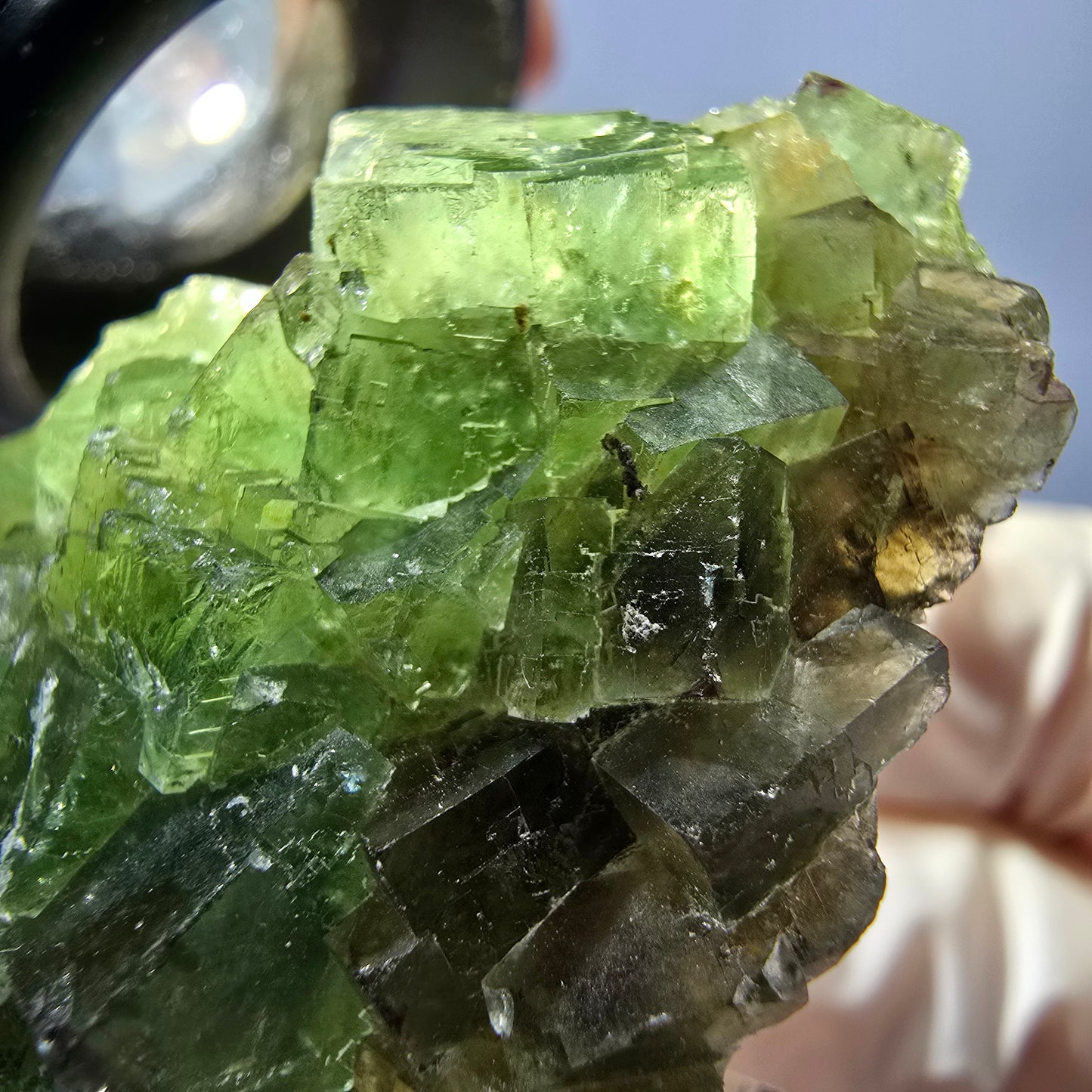 Rare spécimen de cube de fluorite fantôme, vert Okorusu, Namibie 45 x 33 x 17 mm