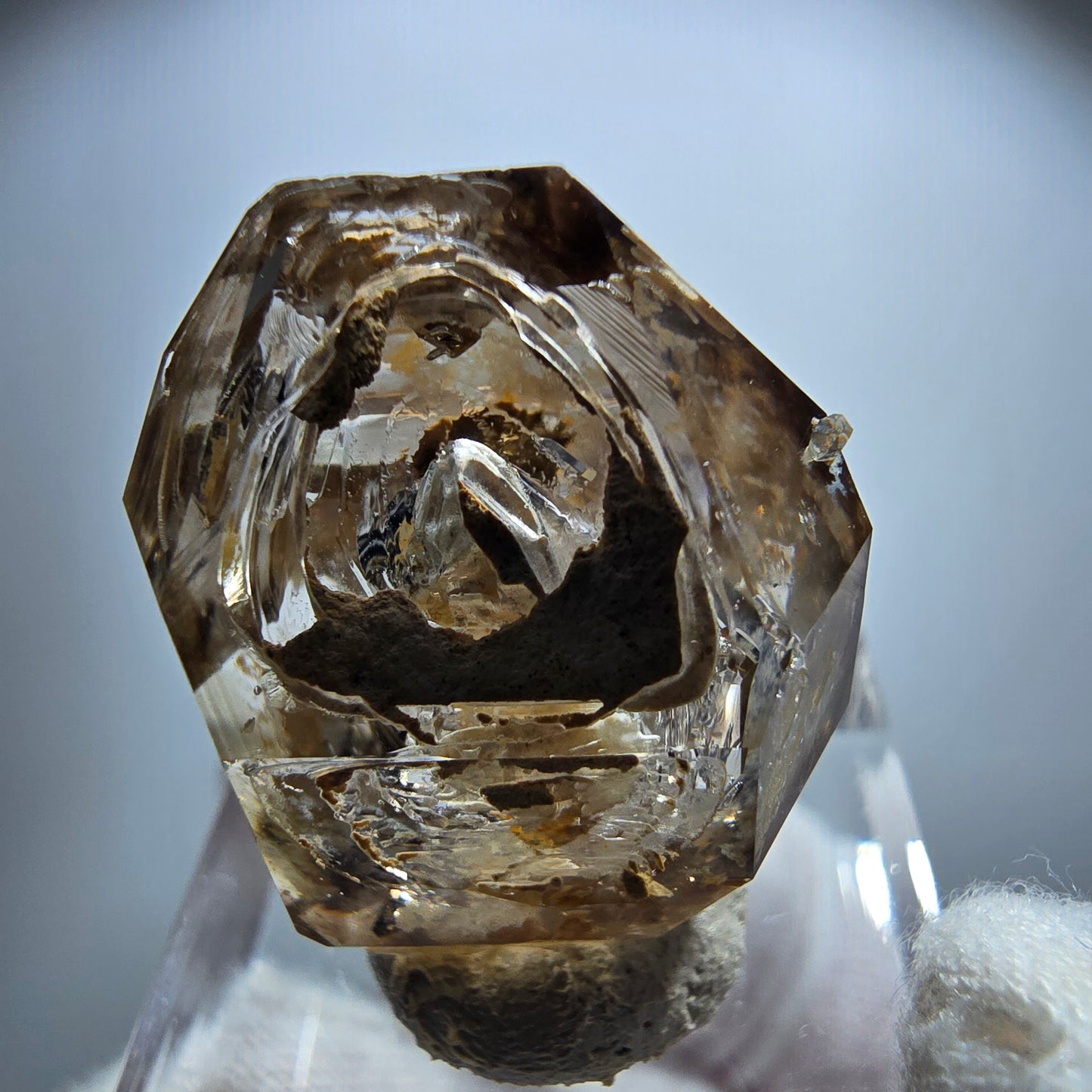 Enhydro Phantom Rauchquarz Fenster Zepter, 2x Blase Goboboseb Namibia 26*21*14mm