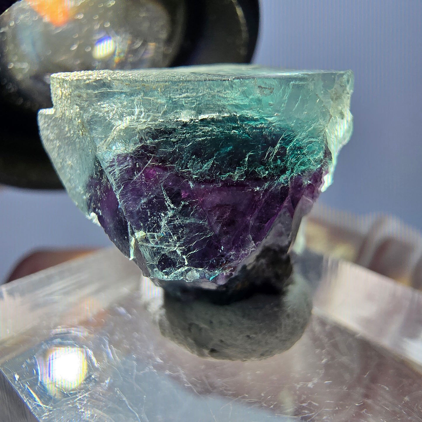 Spécimen de cube de fluorite fantôme, parqueté vert violet Okorusu, Namibie 19 x 18 x 15 mm
