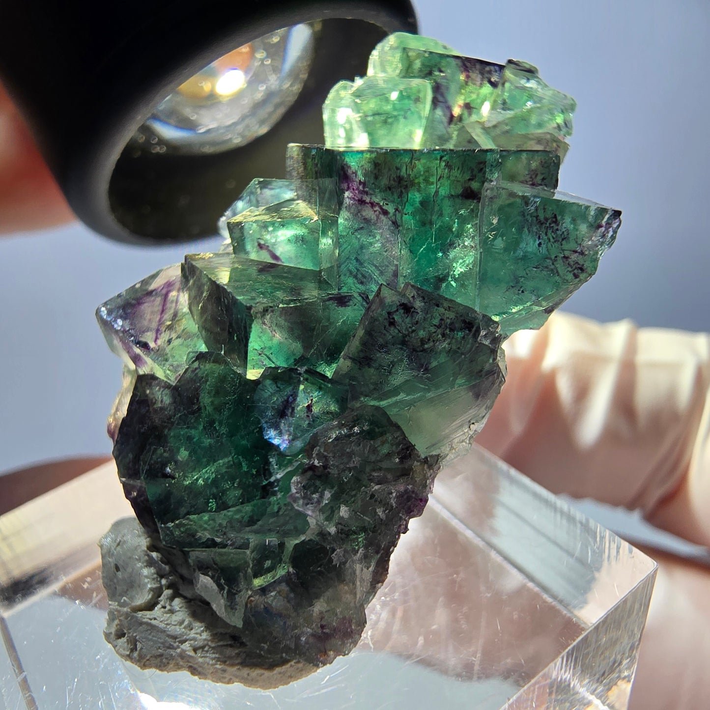 Spécimen de cube de fluorite fantôme, parqueté vert violet Okorusu, Namibie 37*22*13 mm