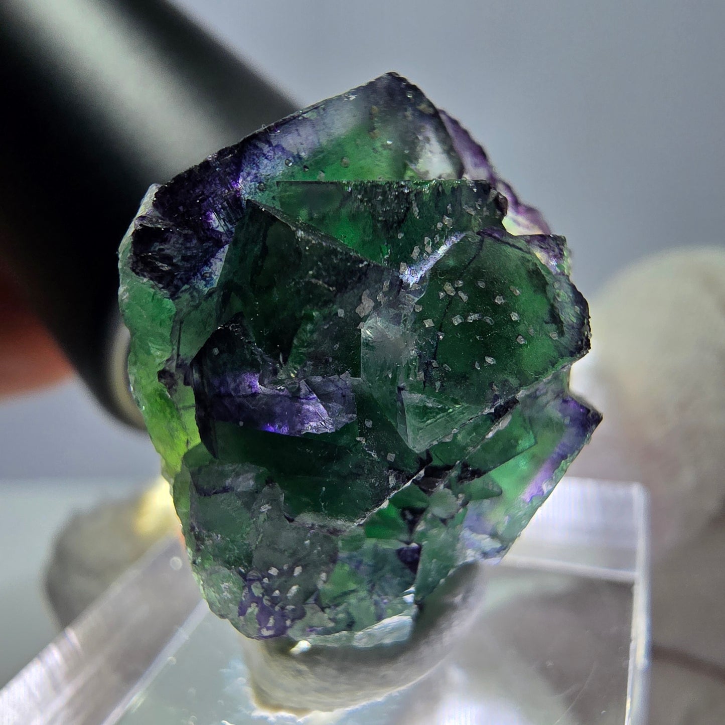Cube de fluorite fantôme zonal, spécimen de tourmaline Schorl, Erongo, Namibie, 26 x 22 x 18 mm
