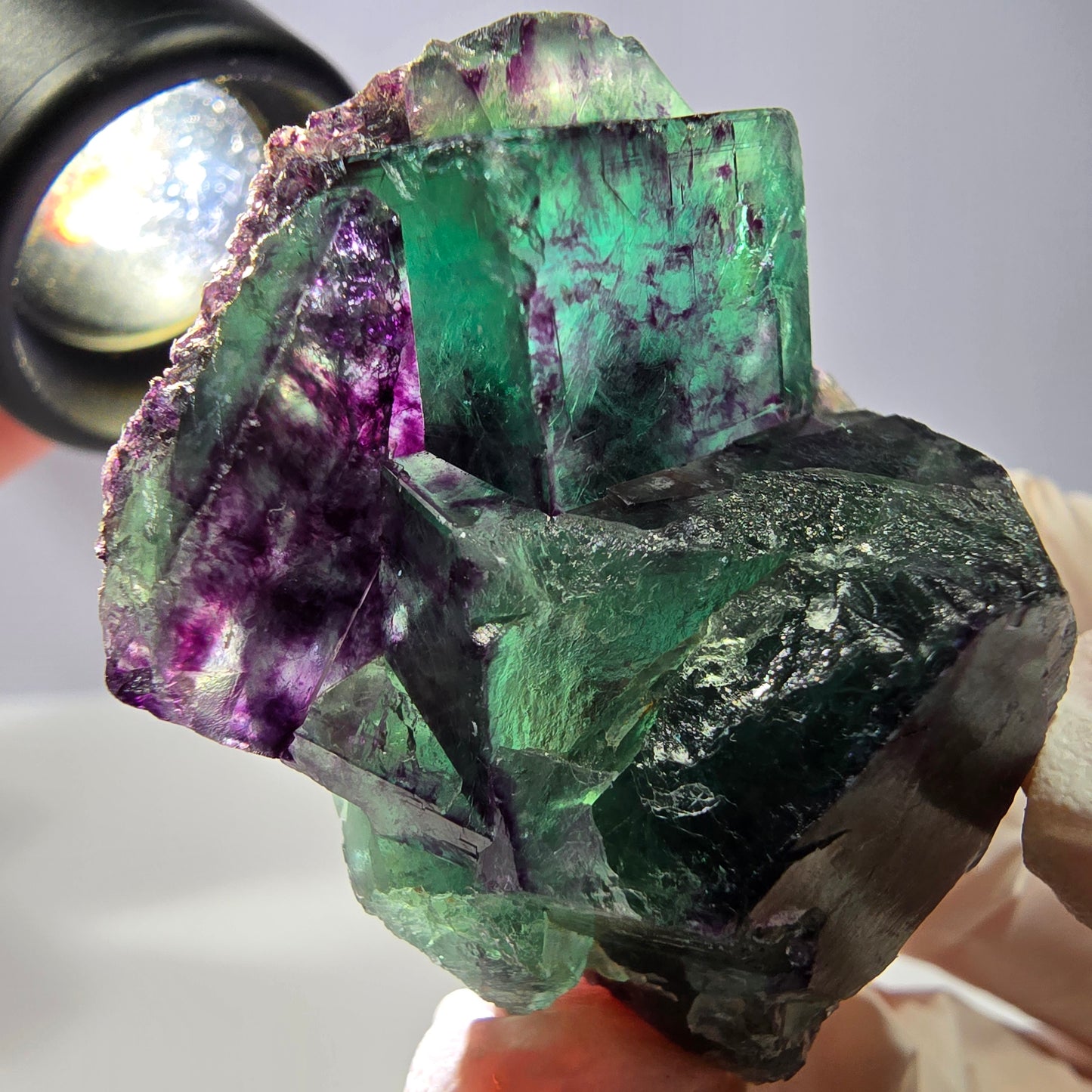 Spécimen de cube de fluorite fantôme, parqueté vert violet Okorusu, Namibie 47*35*24 mm