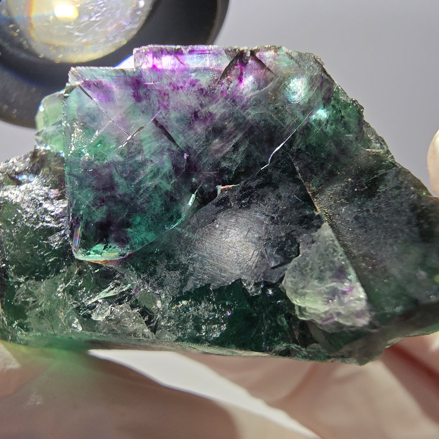 Spécimen de cube de fluorite fantôme parqueté vert violet Okorusu, Namibie 46*37*25 mm