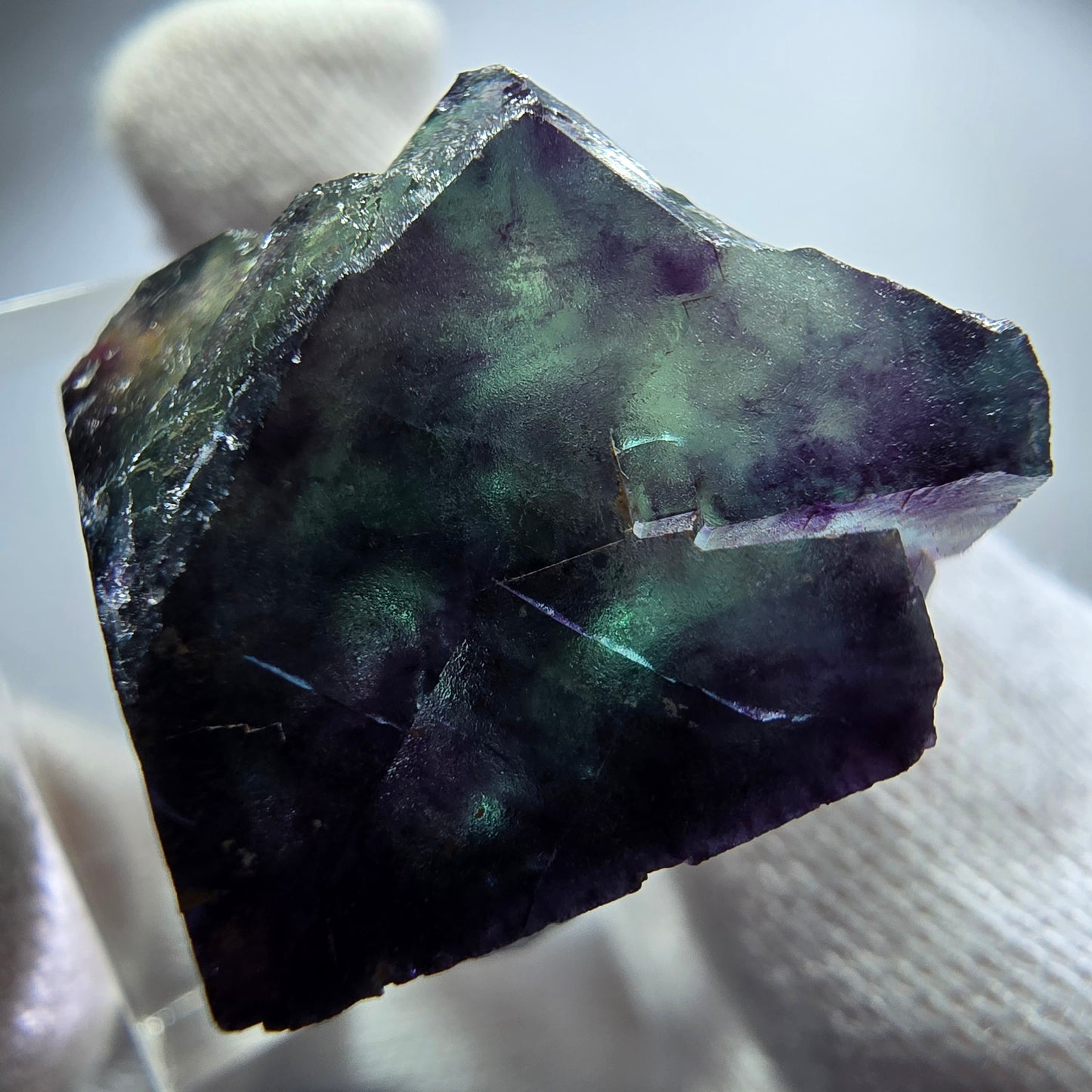 Spécimen rare de cube de fluorite fantôme, vert zonal et violet, Okorusu, Namibie, 29 x 23 x 20 mm