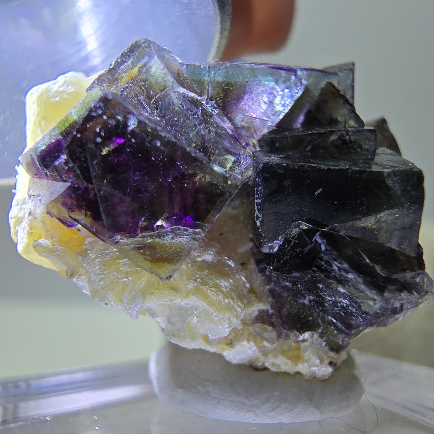 Cubes de fluorite fantôme colorés, spécimen de muscovite, Erongo, Namibie, 23 x 18 x 12 mm