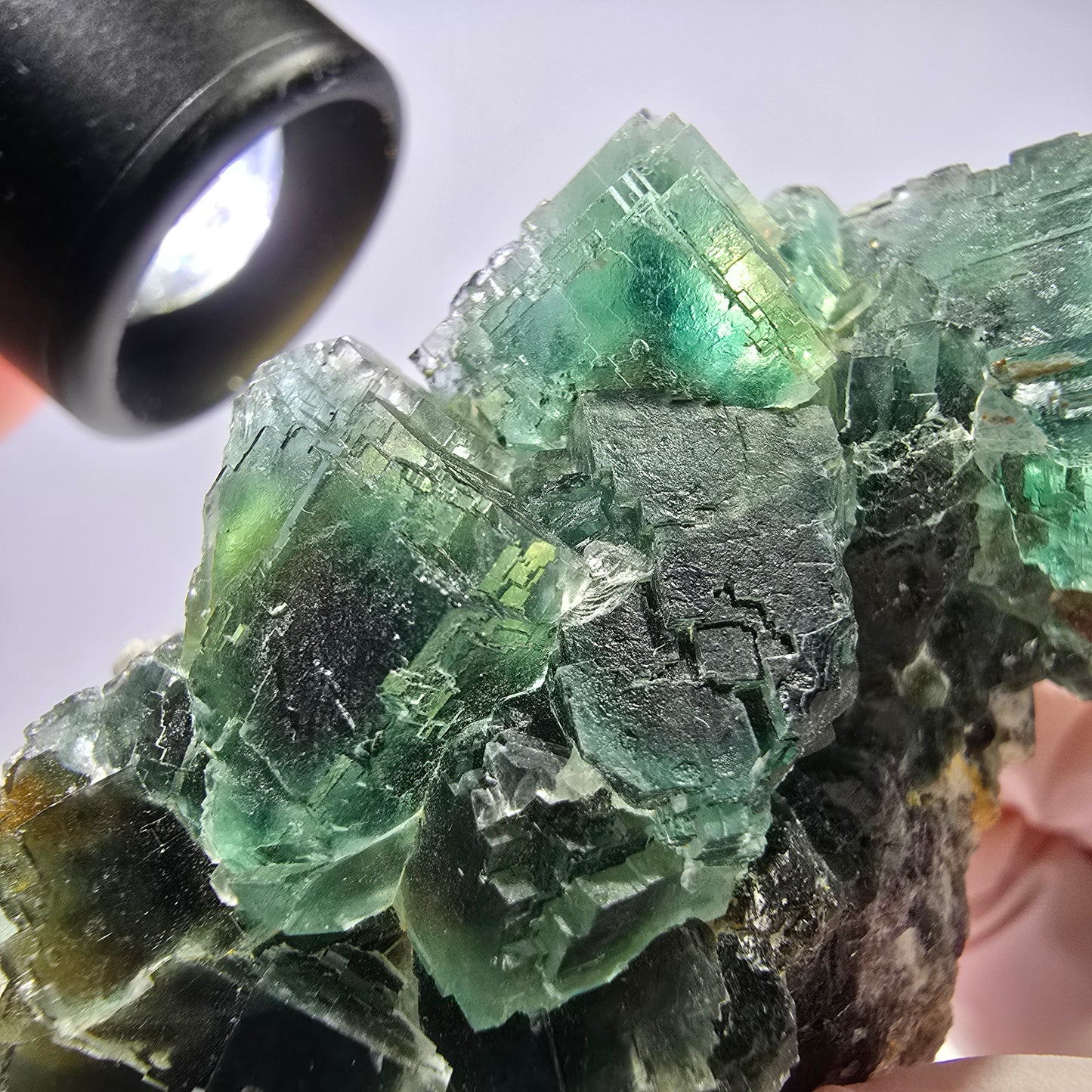 Rare spécimen de cube de fluorite fantôme, parqueté vert Okorusu, Namibie, 61 x 42 x 37 mm