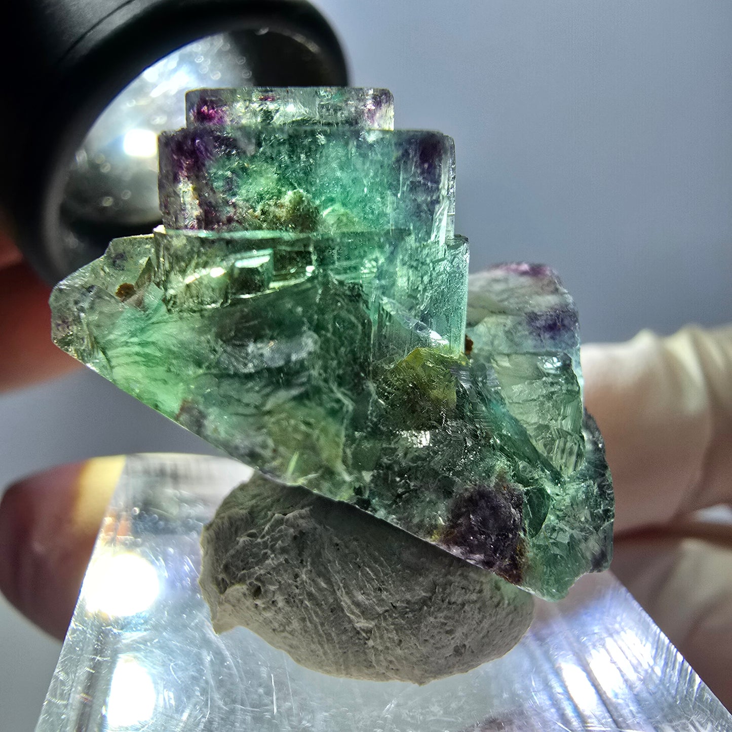 Spécimen de cube de fluorite fantôme, parqueté vert violet Okorusu, Namibie 31*25*18 mm
