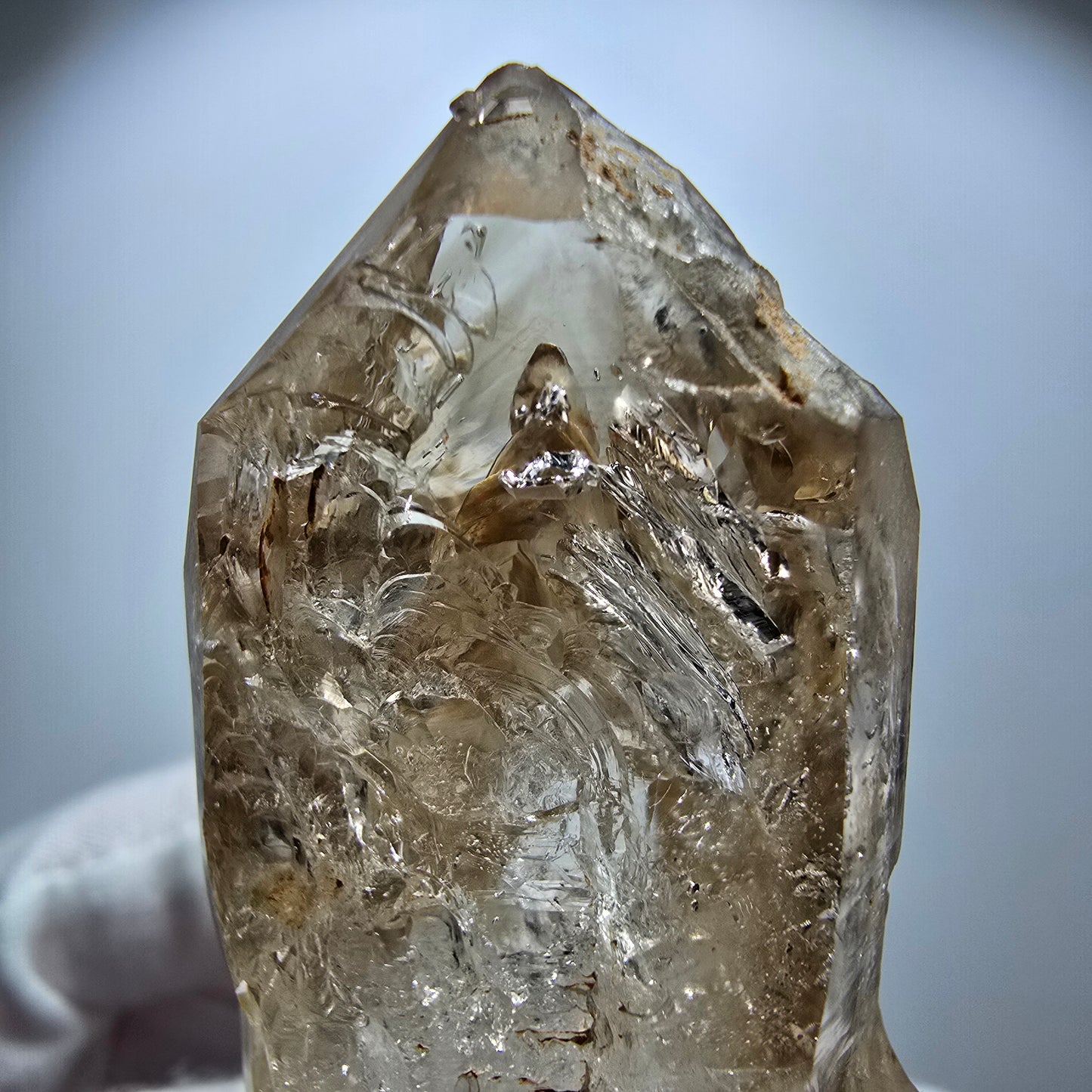 Enhydro Phantom Rauchquarz Fenster Zepter, 1x Blase Goboboseb Namibia 64*28*22mm