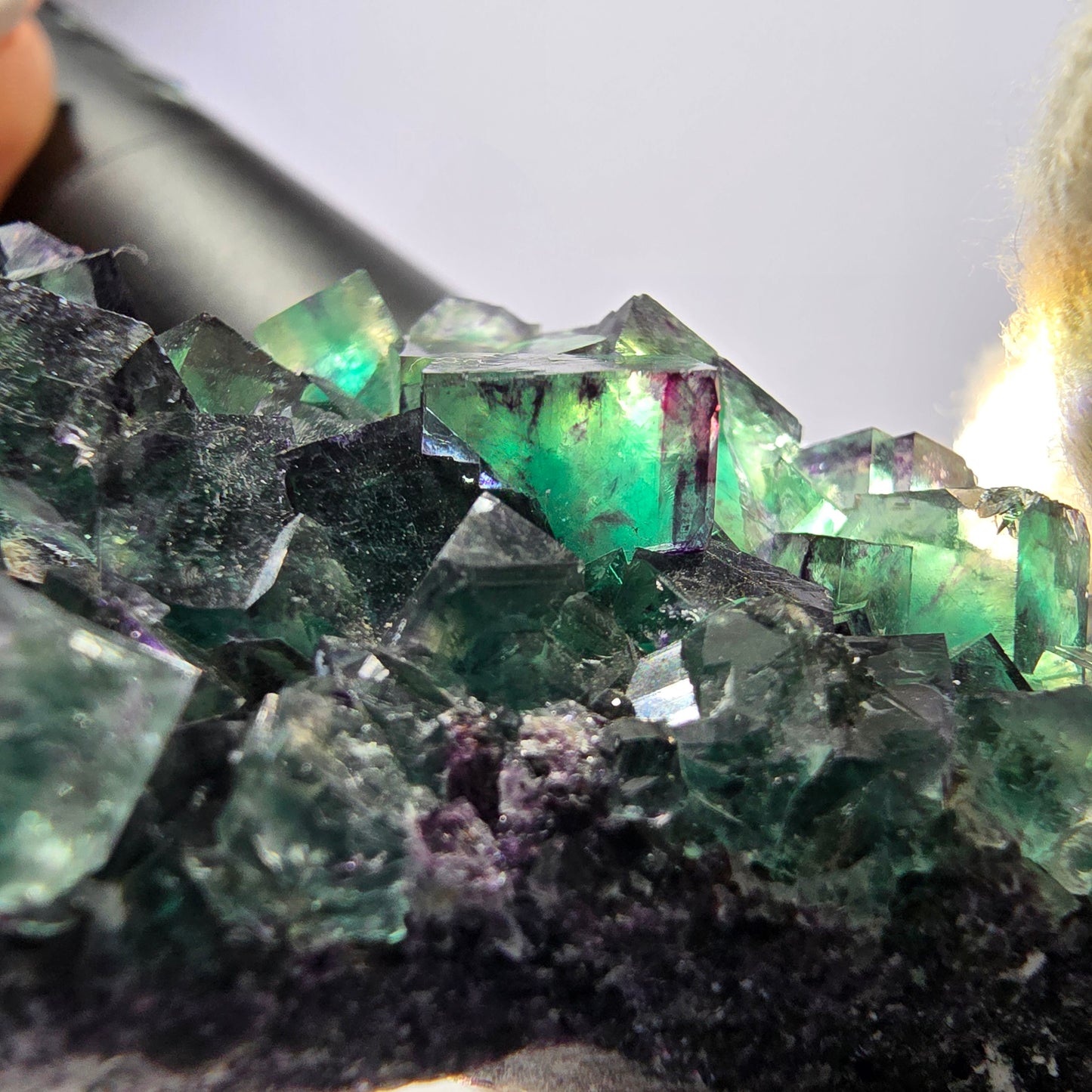 Rare spécimen de cube de fluorite fantôme, vert violet Okorusu Namibie 76*35*19mm