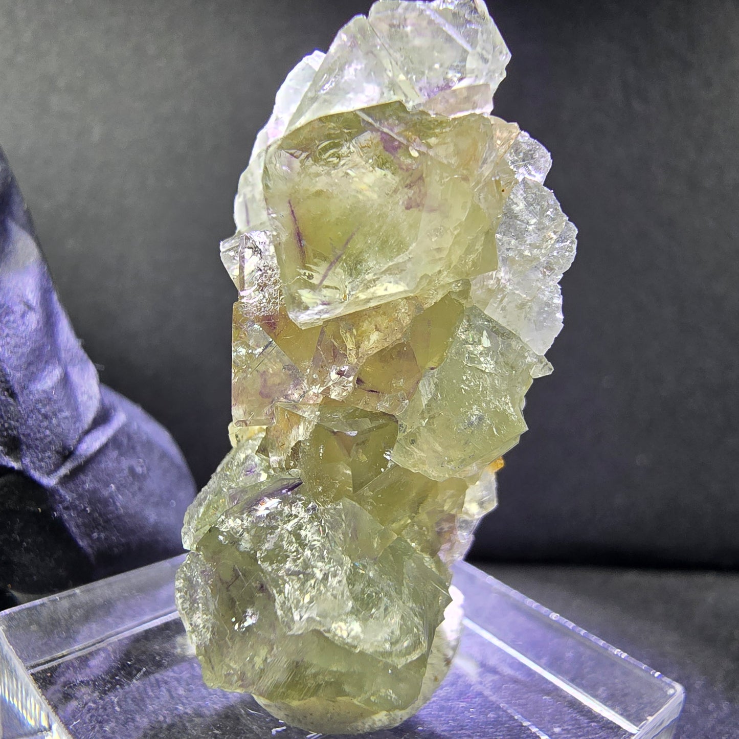 Seltene Phantom Fluorit XX Würfel Stufe grün lila 35*21*14mm Okorusu, Namibia