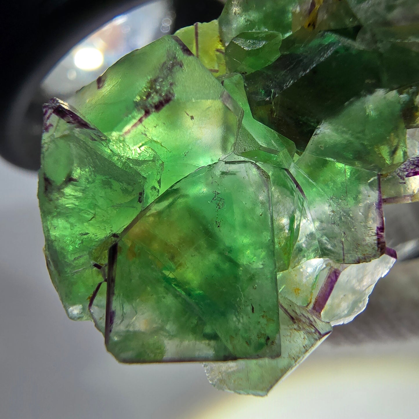 Cube de fluorite fantôme zonal, spécimen de muscovite, Erongo, Namibie, 30 x 19 x 10 mm