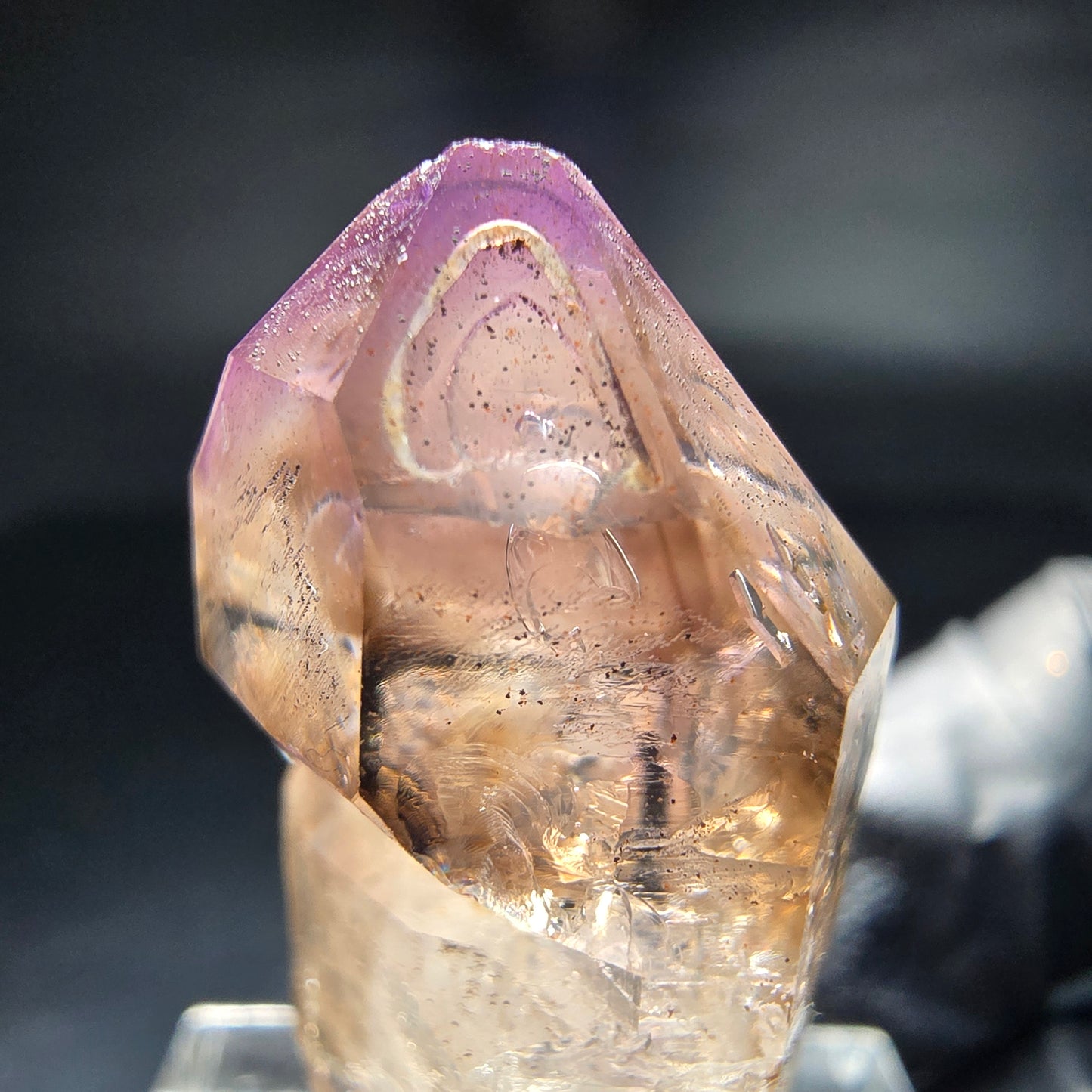 Klare Phantom Amethyst Zepter Spitze Goboboseb Namibia 33*17*14mm Sammlung