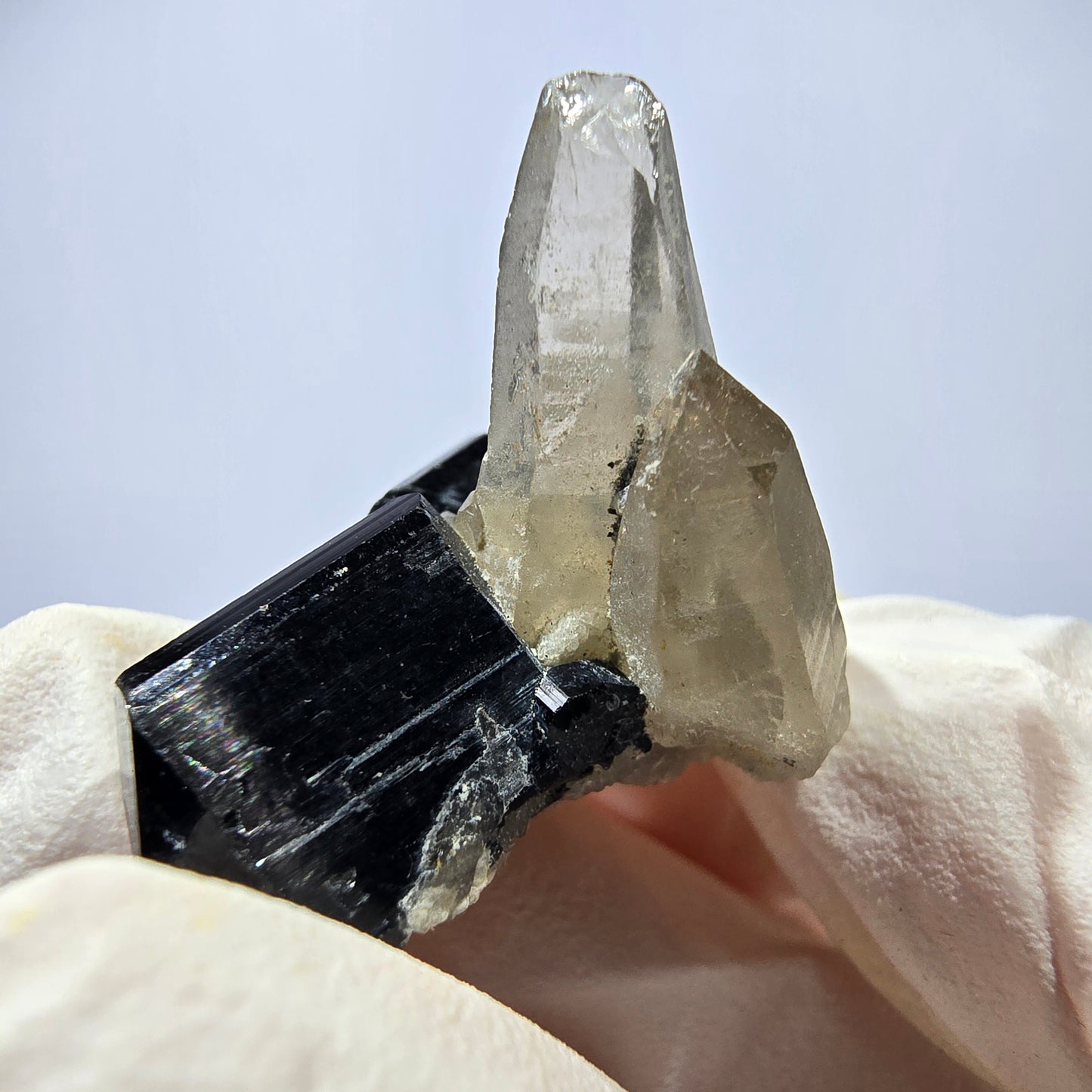 Tourmaline Schorl symétrique, spécimen de quartz fumé, Erongo, Namibie, 33 x 21 x 23 mm