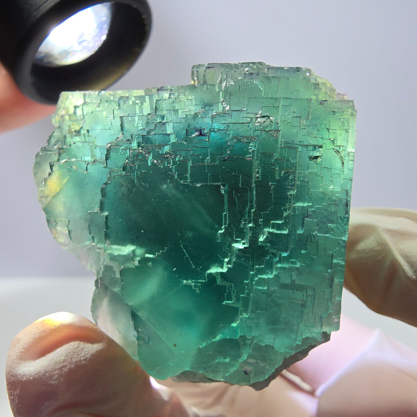Spécimen de cube de fluorite fantôme transparente, vert parqueté, Okorusu, Namibie, 60 x 44 x 40 mm