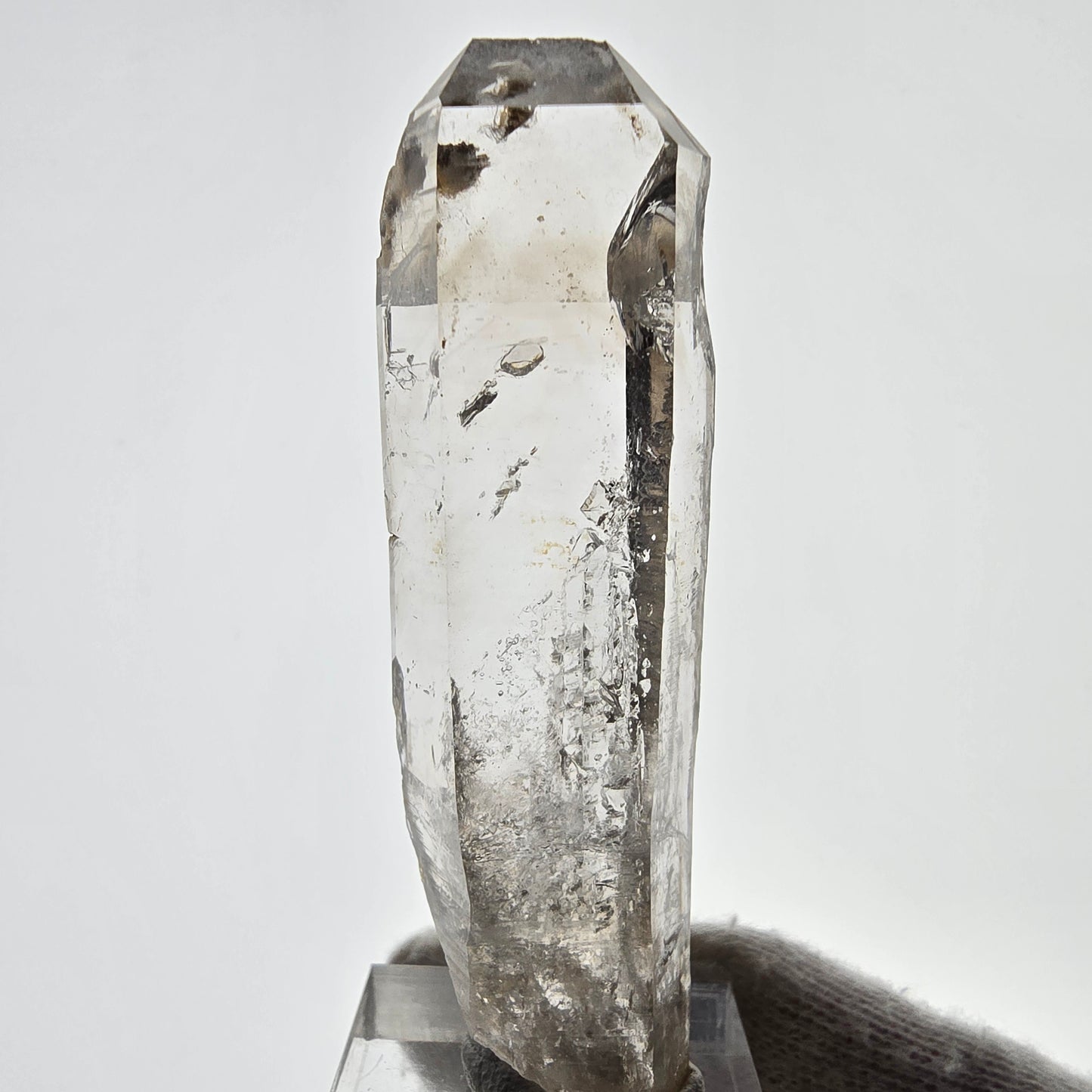 Sceptre squelette en quartz fumé Enhydro, 1 pochette bulle Saint-Valentin, Namibie 65 x 20 x 14 mm