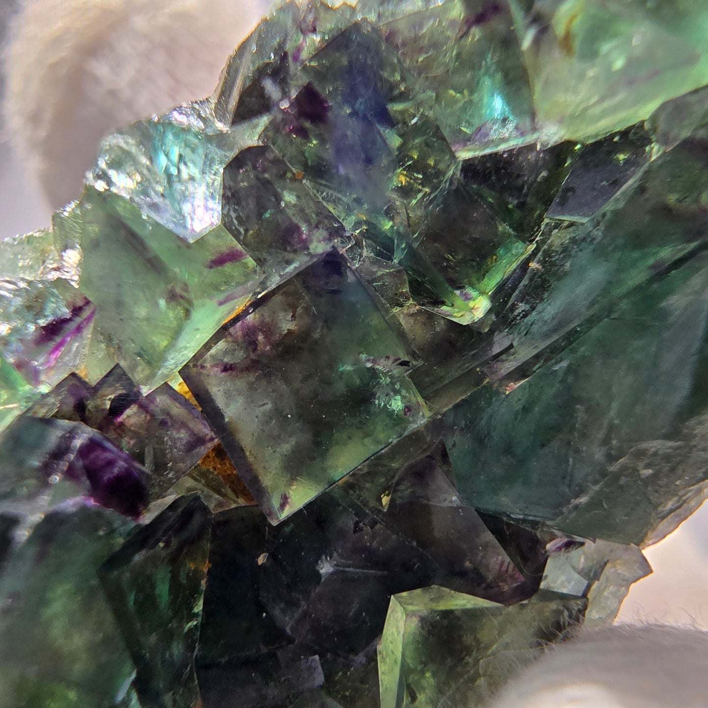 Spécimen rare de cube de fluorite fantôme, vert zonal et violet, Okorusu, Namibie, 54 x 23 x 12 mm