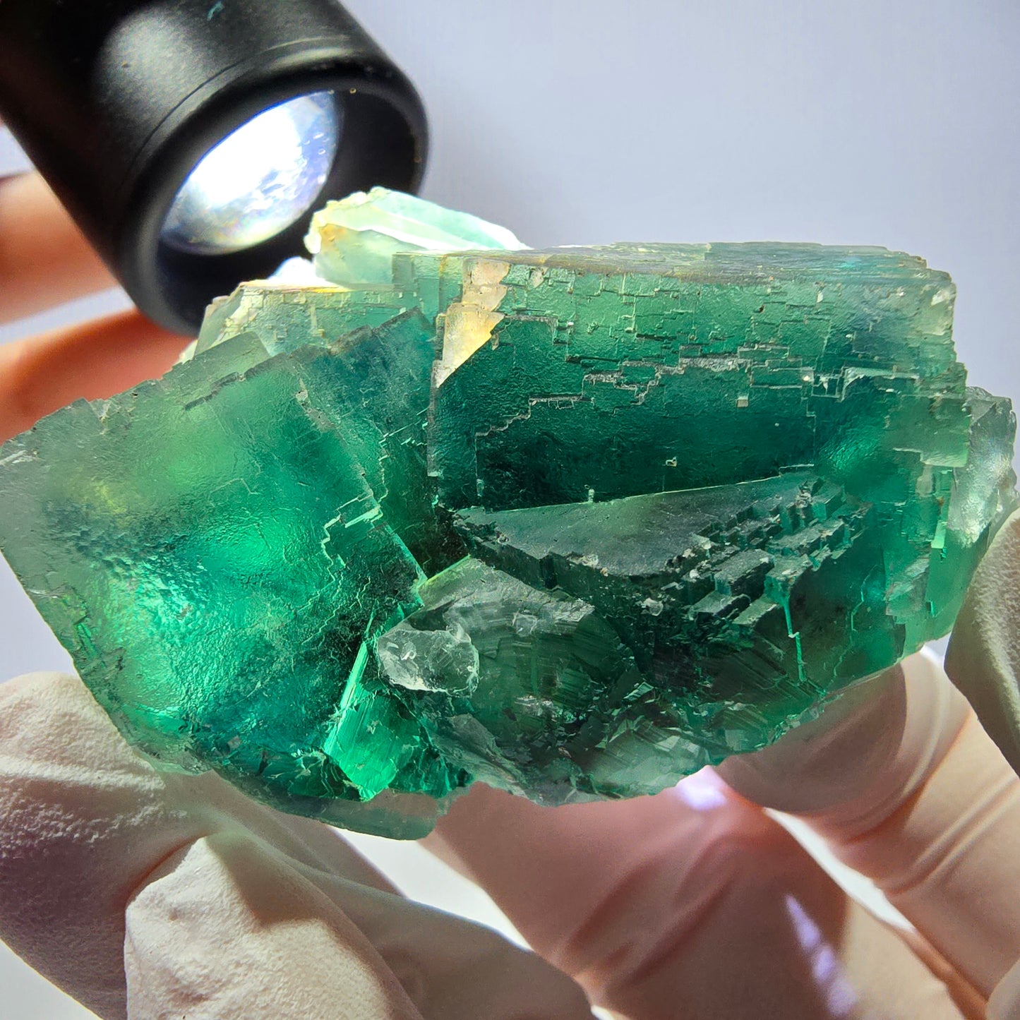Spécimen de cube de fluorite fantôme transparente, vert parqueté, Okorusu, Namibie, 60 x 45 x 24 mm