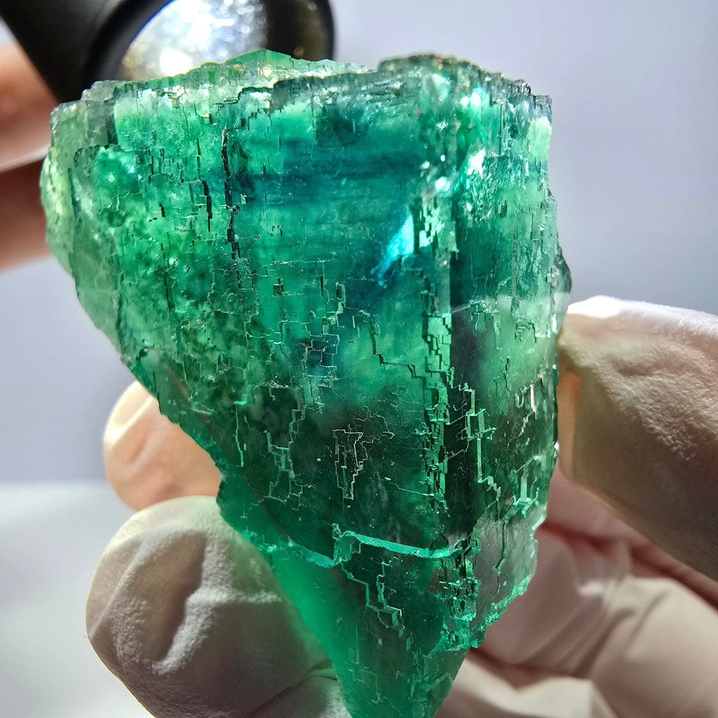 Spécimen de cube de fluorite fantôme transparente, vert parqueté, Okorusu, Namibie, 50 x 30 x 22 mm