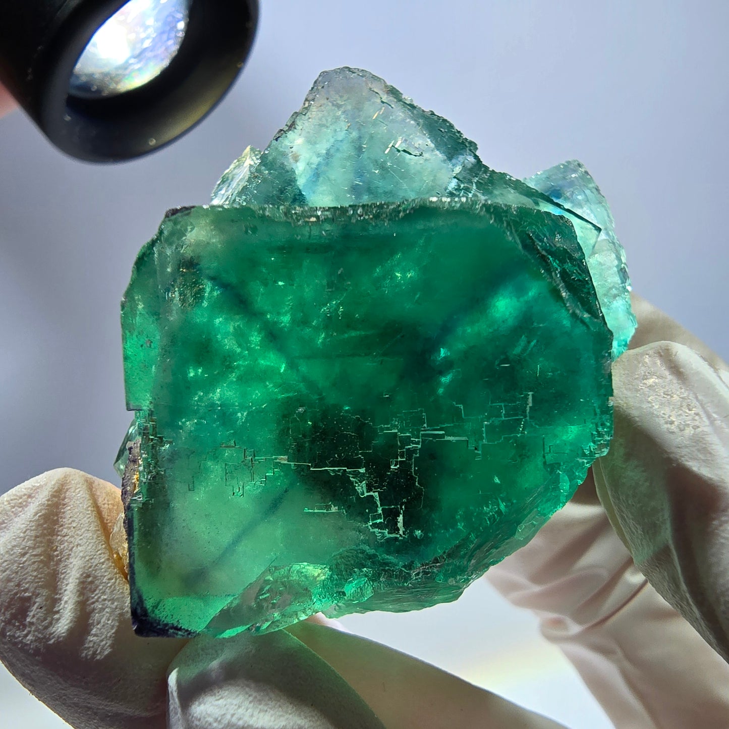 Spécimen de cube de fluorite fantôme transparente, vert parqueté, Okorusu, Namibie, 55 x 41 x 26 mm