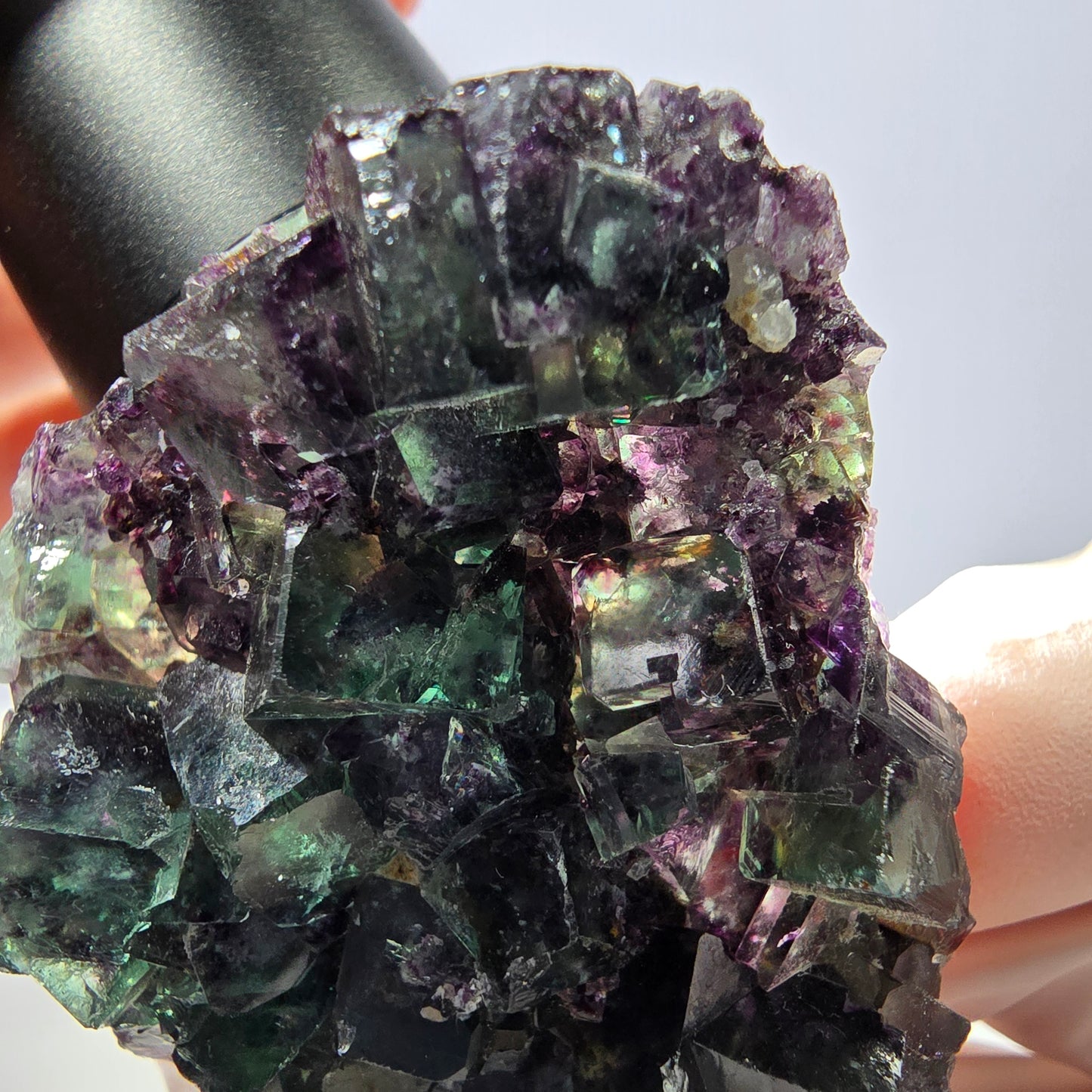 Spécimen de cube de fluorite fantôme parqueté vert violet Okorusu, Namibie 52*42*16 mm