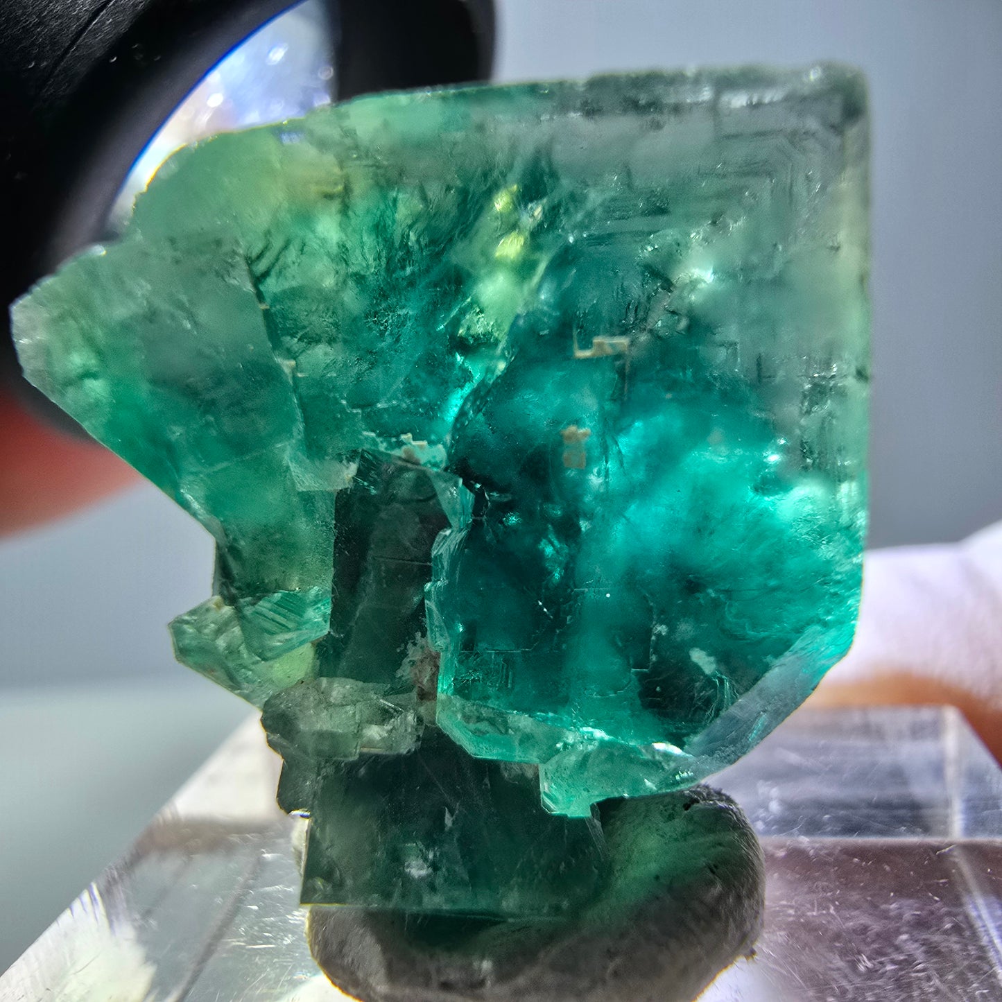 Phantom Fluorit Würfel Stufe, grün parkettiert Okorusu, Namibia 21*21*13mm