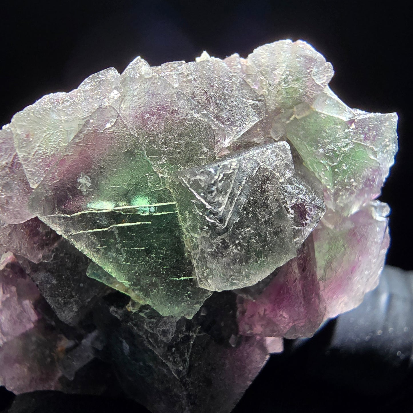 Phantom Fluorite Cube Tier Violet Vert Blanc Erongo, Namibie 55*35*21mm Collection