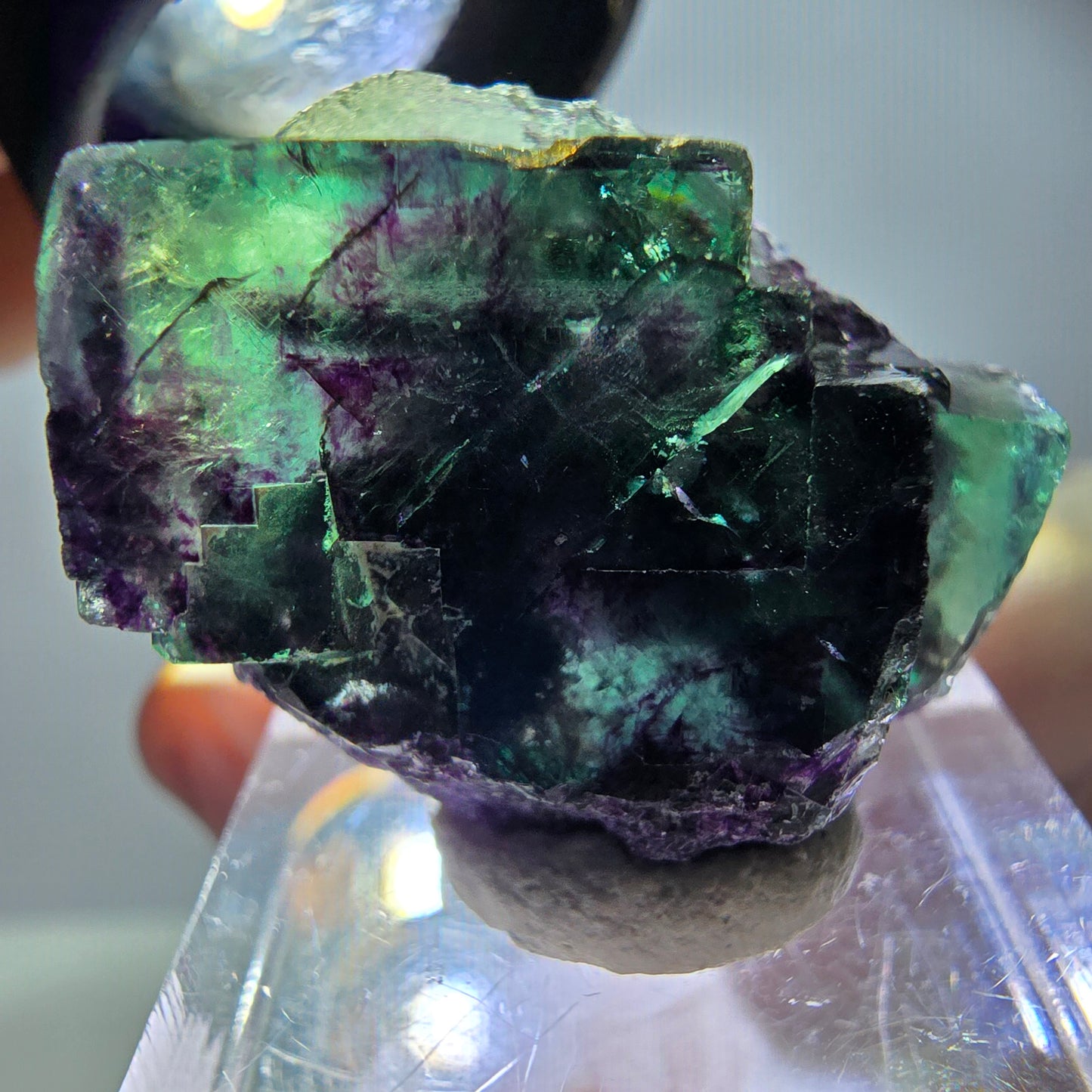 Spécimen rare de cube de fluorite, vert violet, Okorusu, Namibie, 30 x 24 x 17 mm