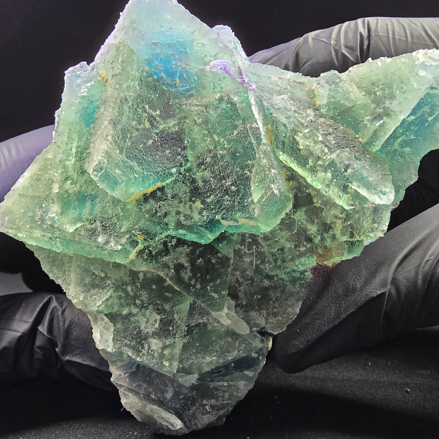 Große Phantom Fluorit XX Oktaeder Stufe grün blau 110*77*71mm aus Erongo Namibia