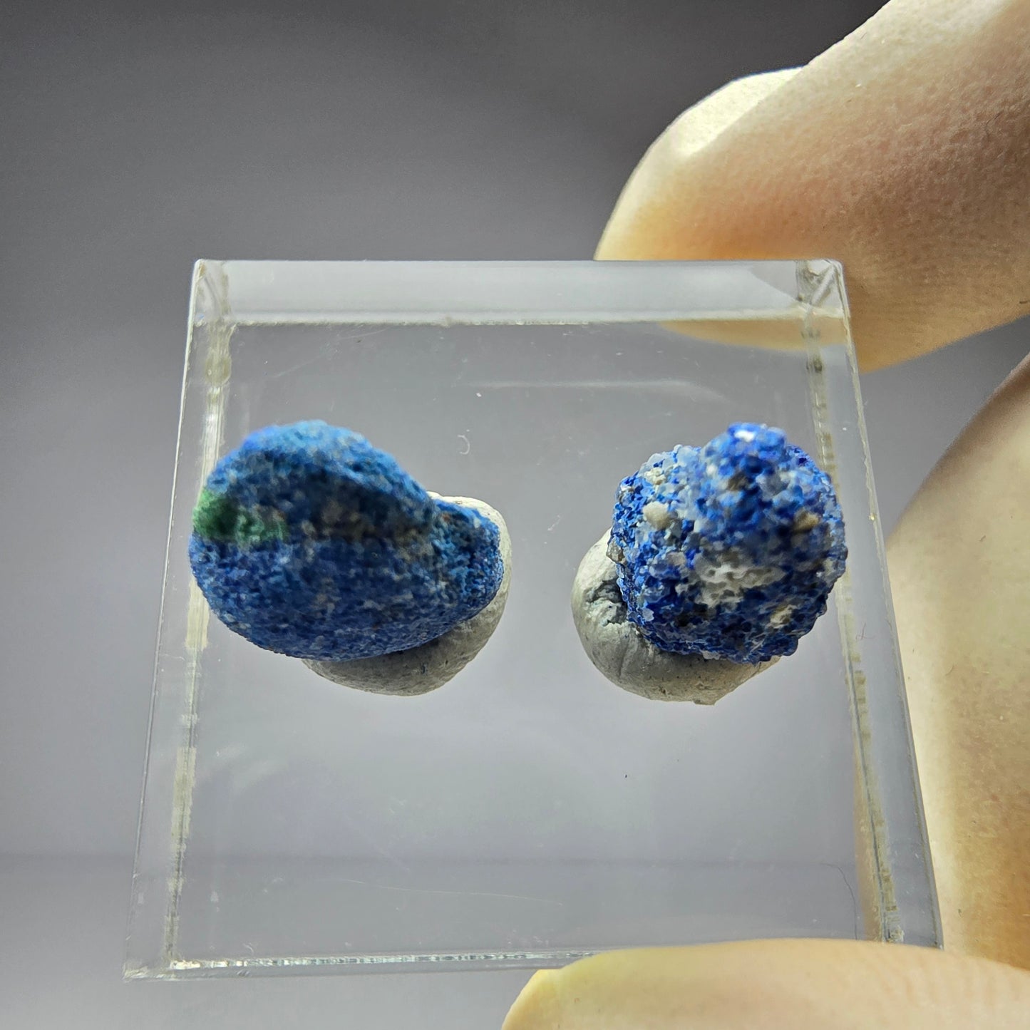 2x seltene Azurit Blueberry - Set 11,5mm + 11mm Durchmesser aus USA, New Mexico